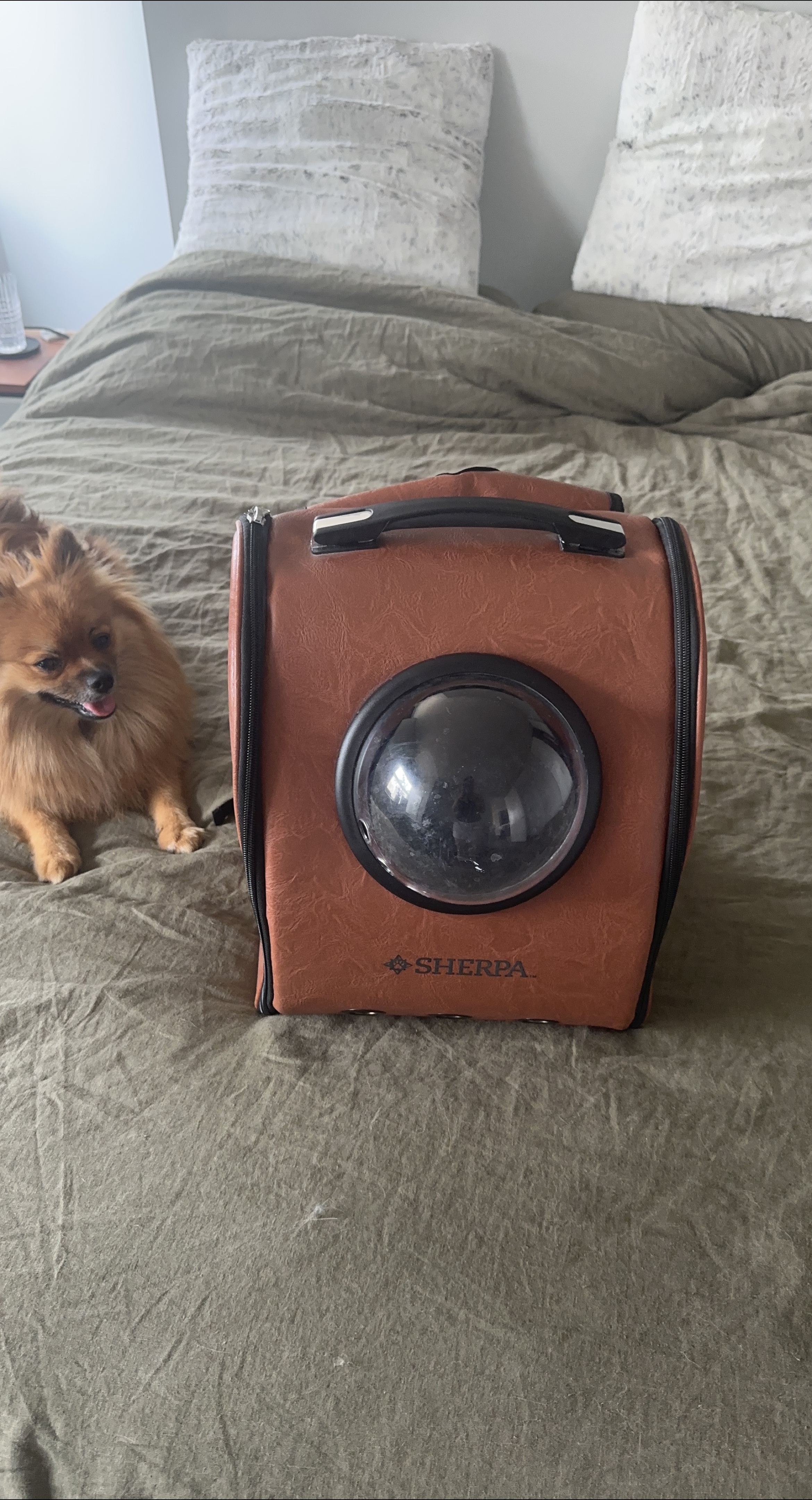 Sherpa Pet Carrier thumbnail