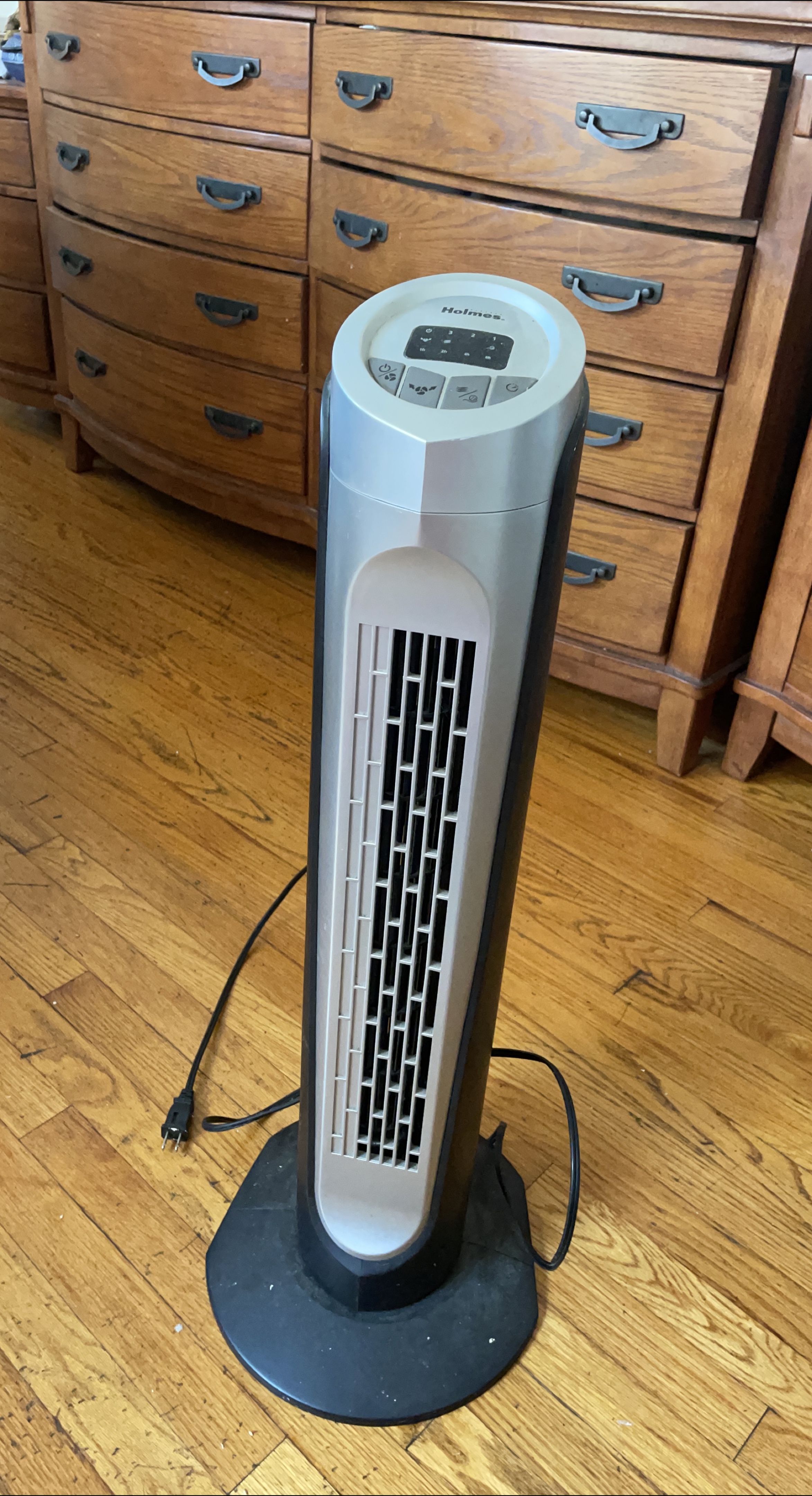 Holmes Tower Fan