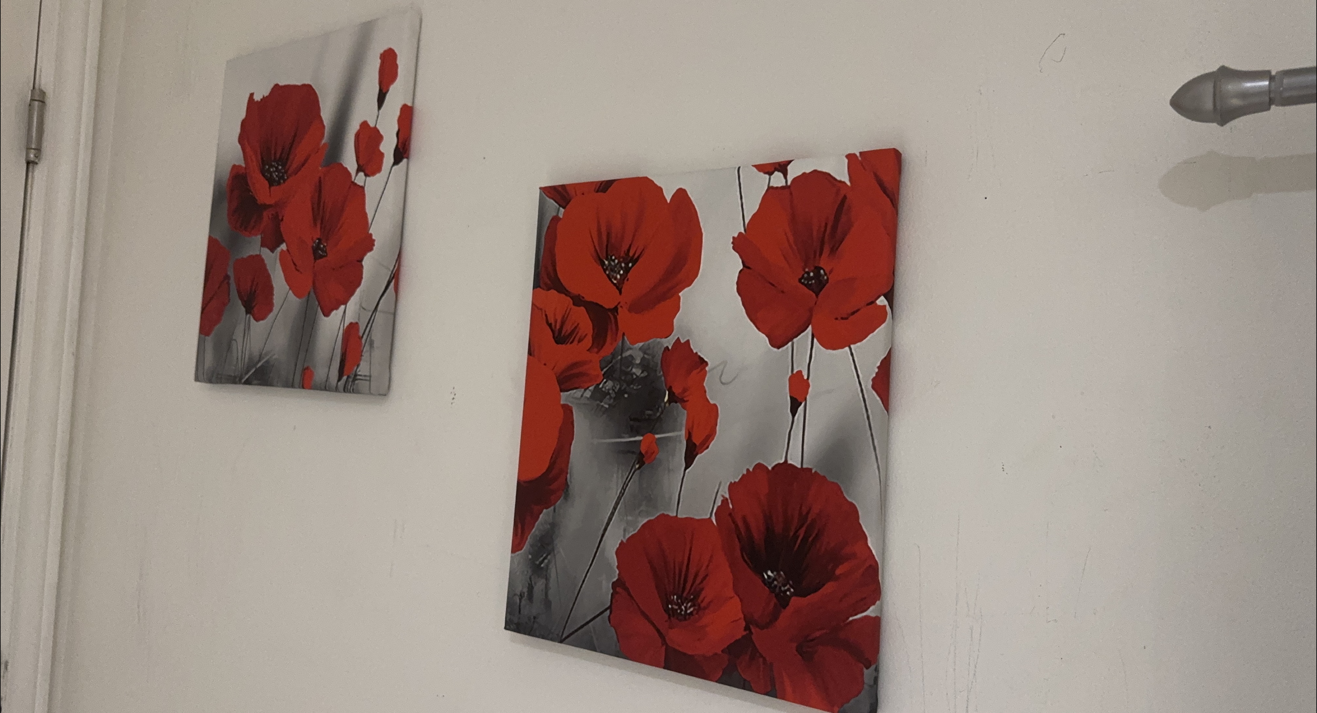 Red Flower Canvas Wall Art - Set of 2 image indicator(1)