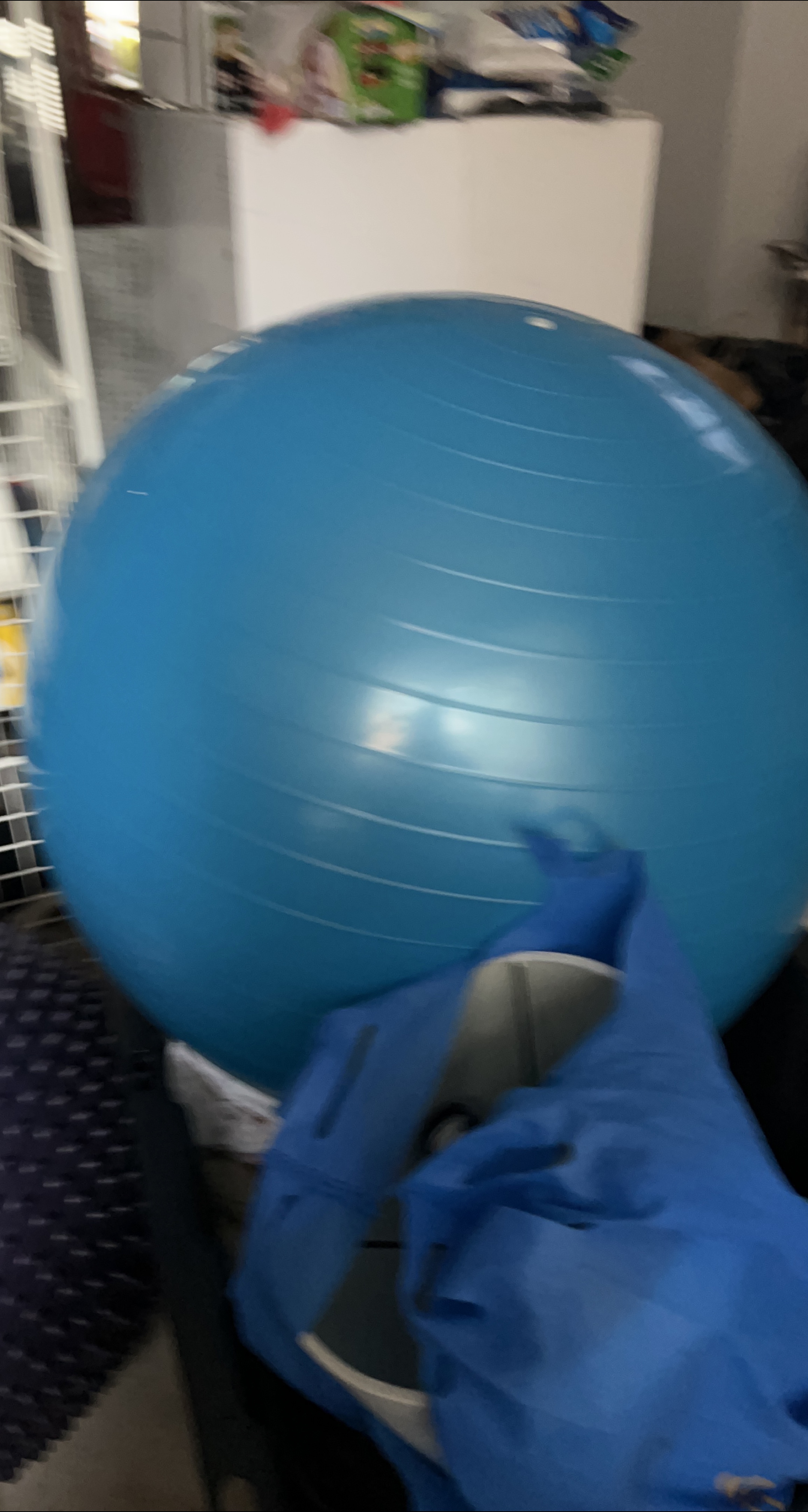PT Fitness Blue Exercise Ball thumbnail