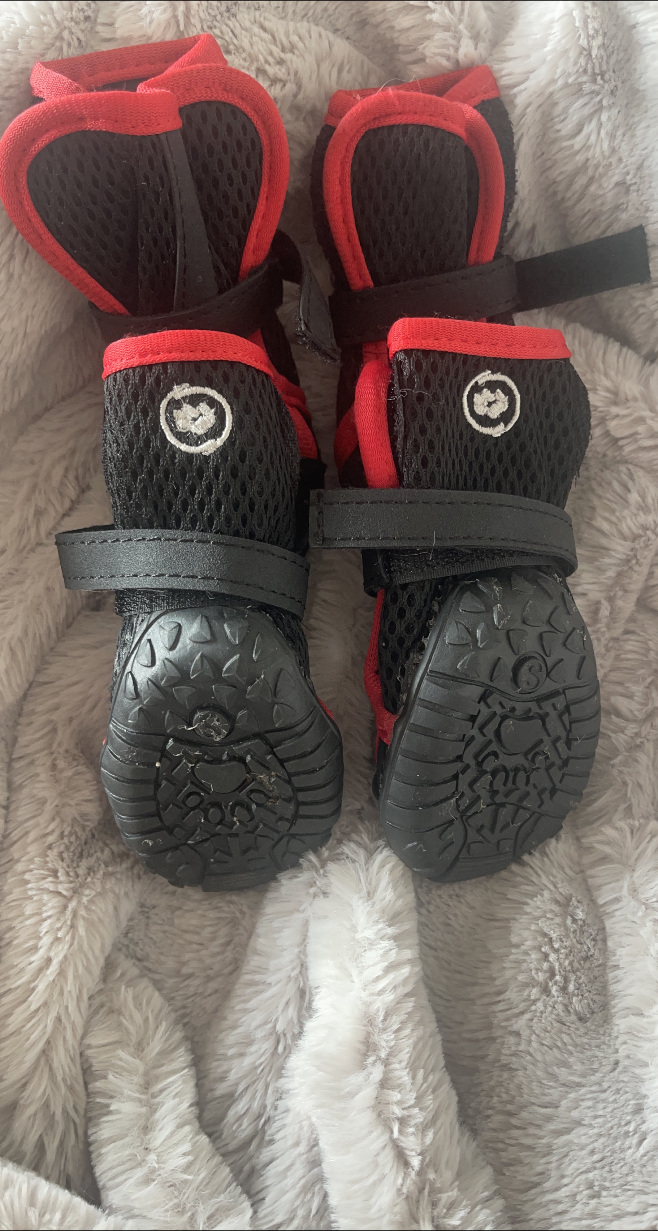 Dog Boots - Black & Red thumbnail