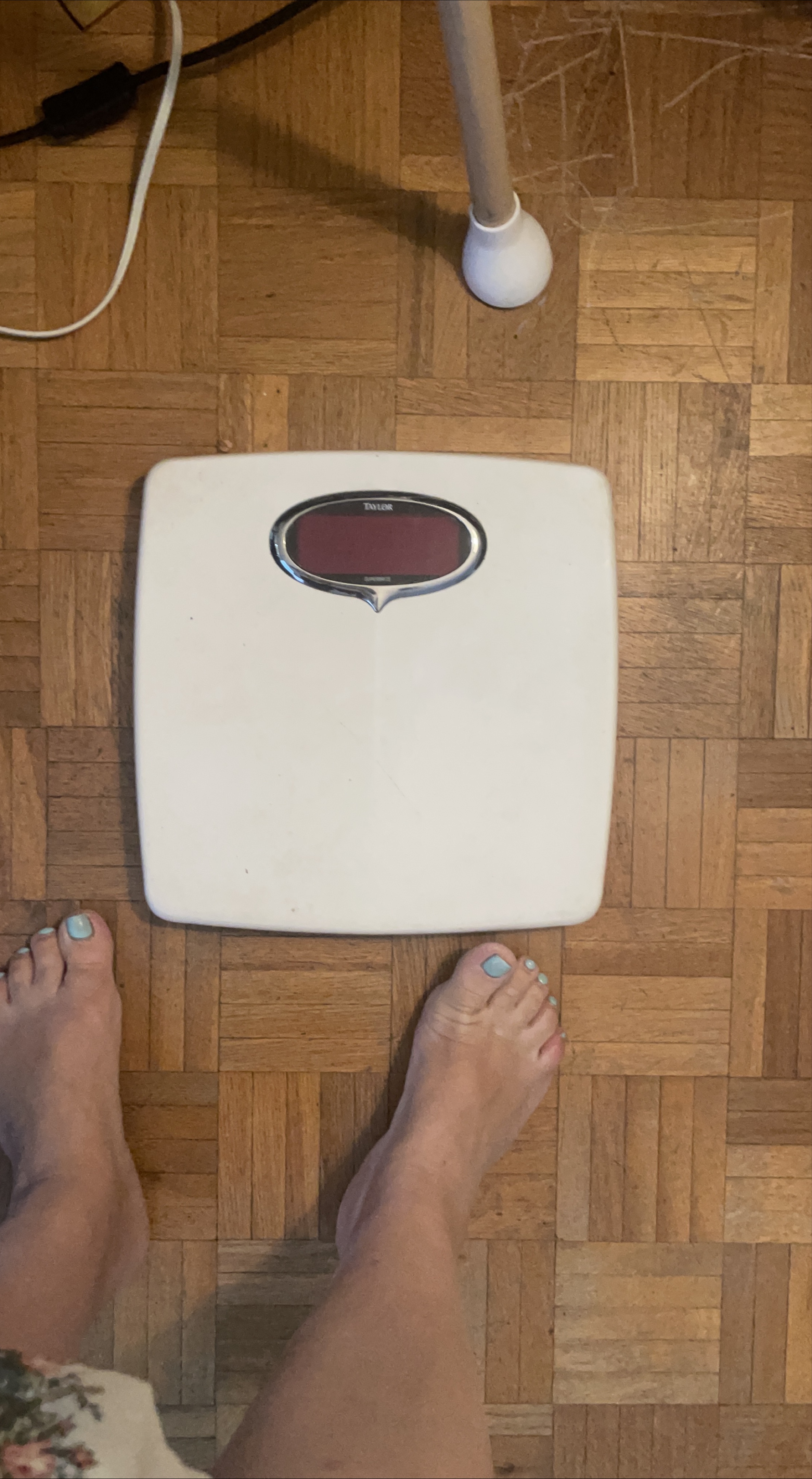 Taylor Bathroom Scale thumbnail