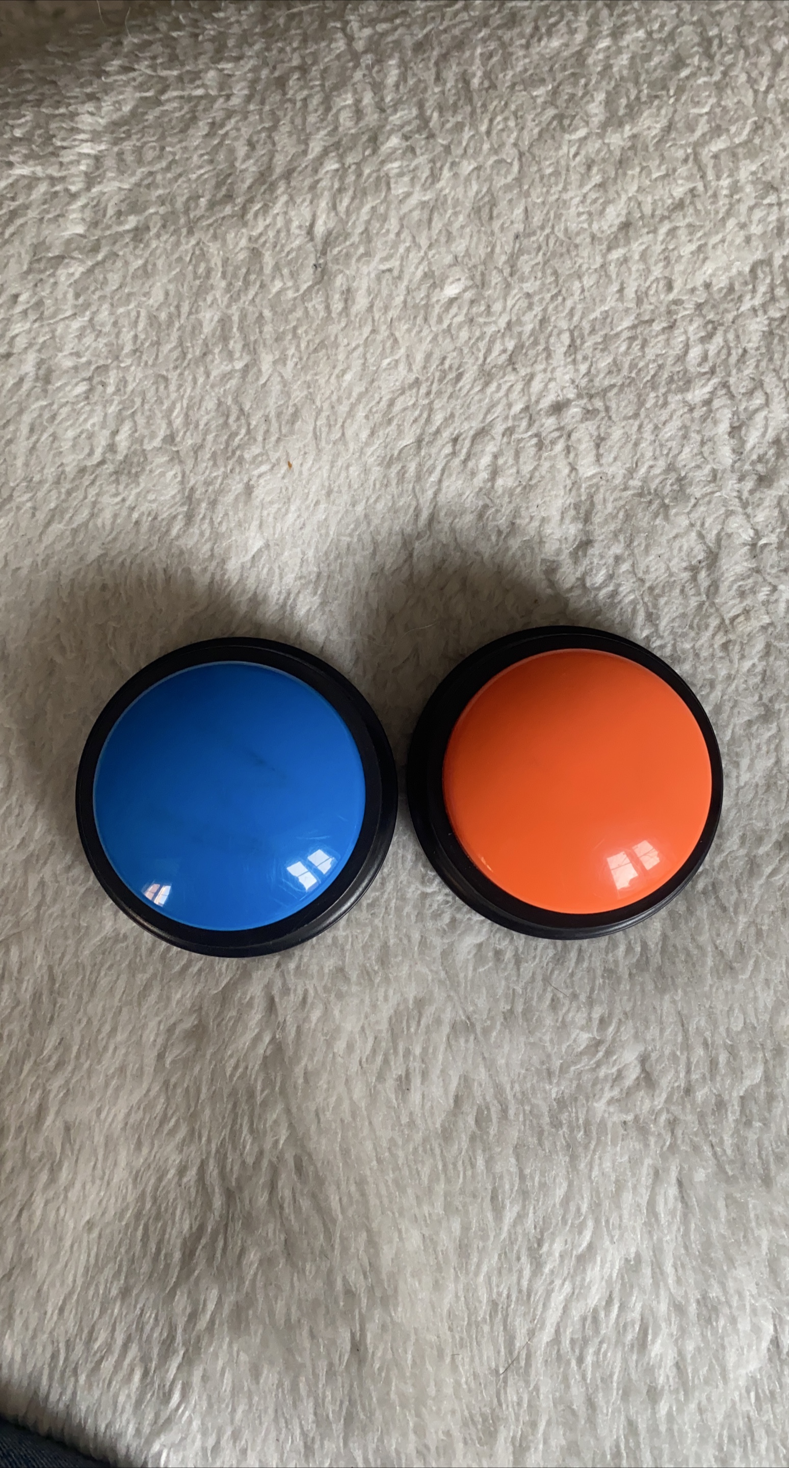 Dog Training Talking Buttons thumbnail