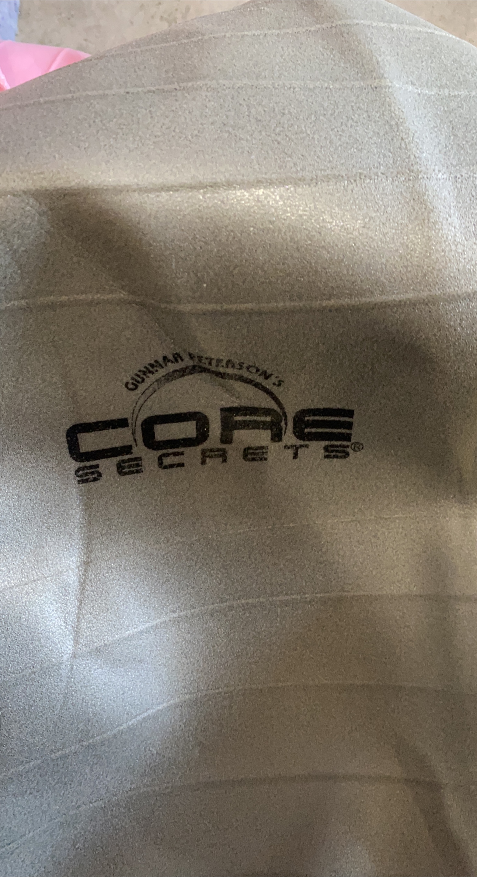 Gunnar Peterson's Core Secrets Exercise Ball thumbnail