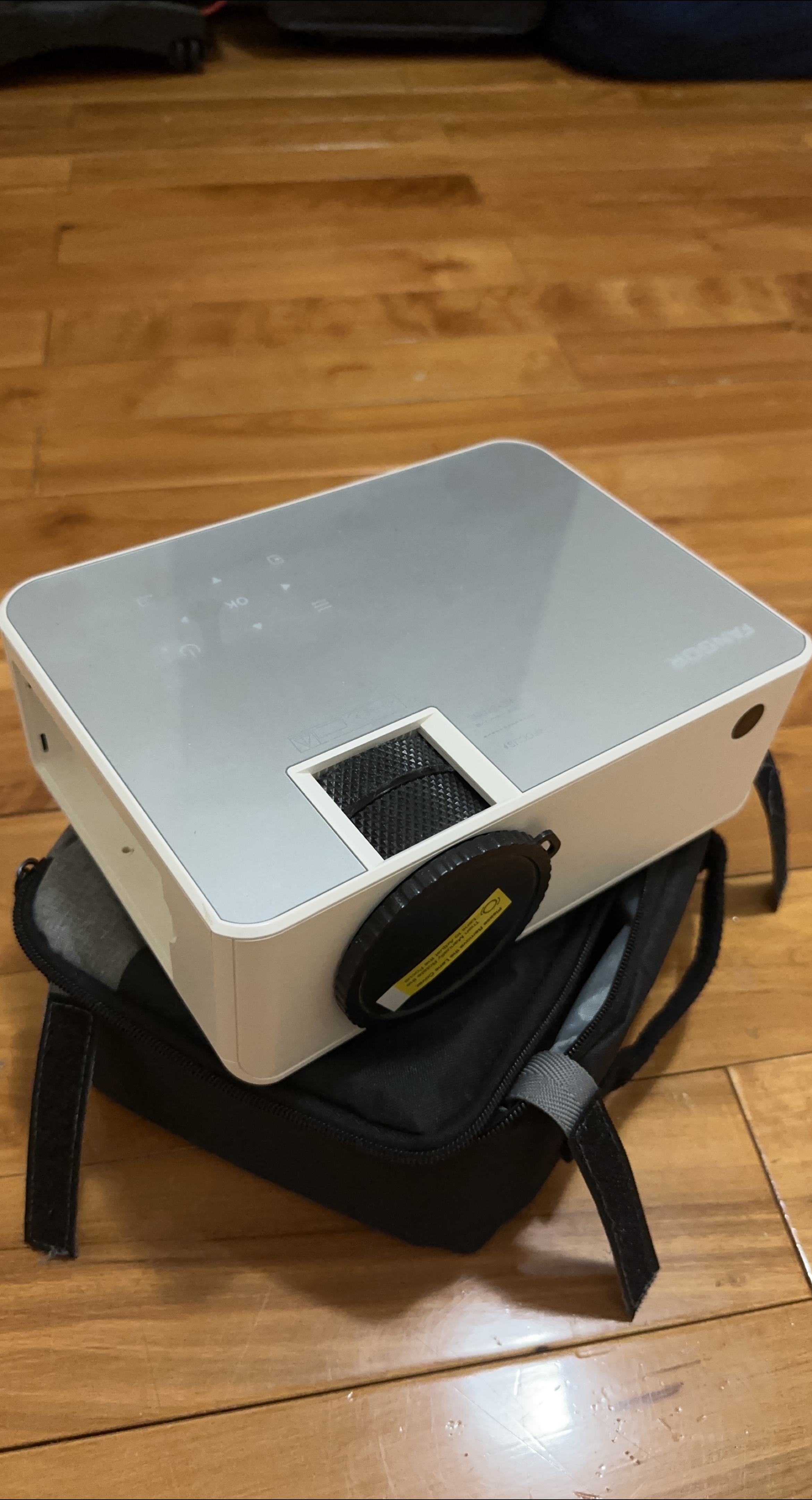 Fambor Projector with Case