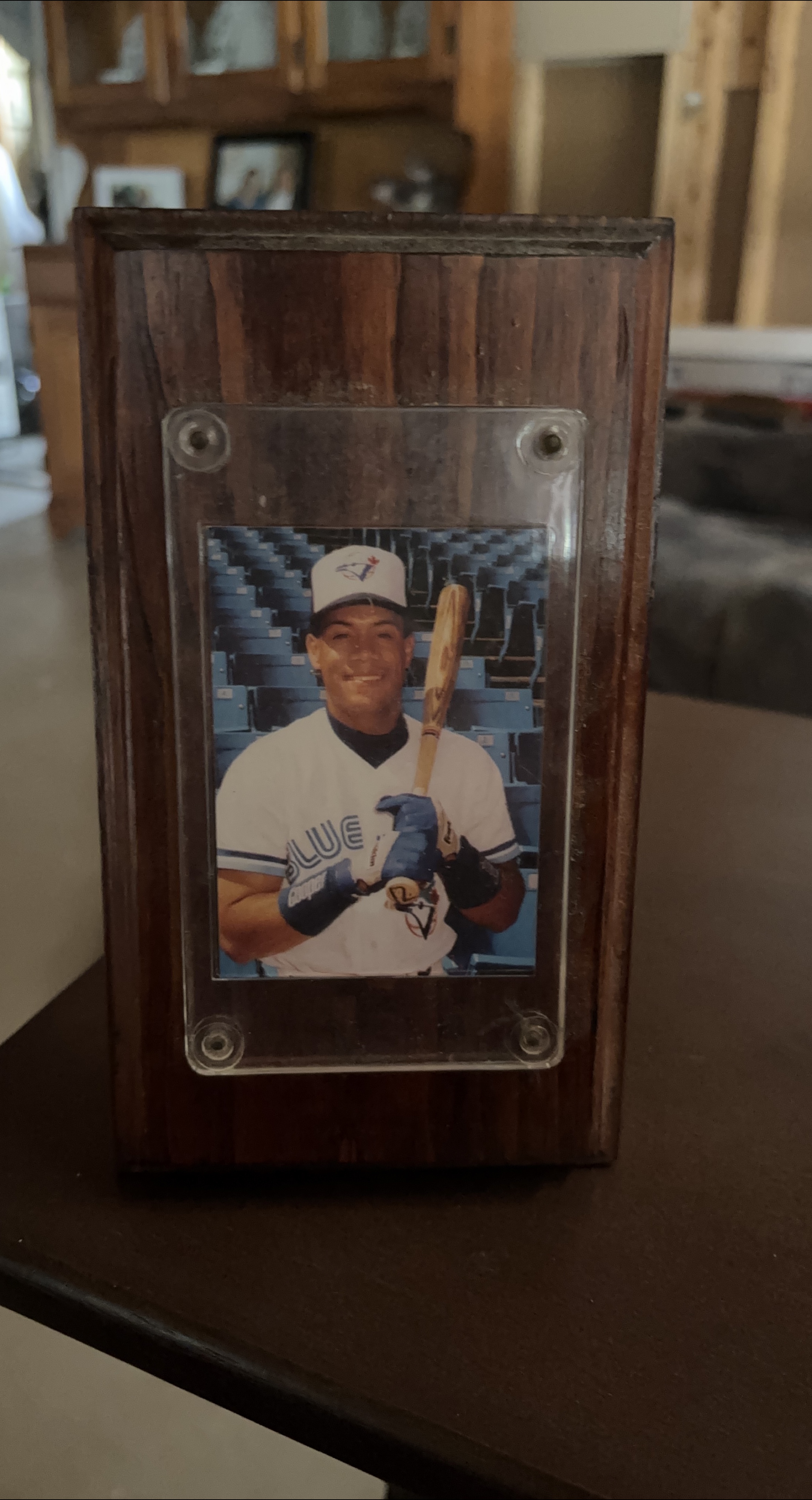 Wood frame of Carlos Delgado thumbnail