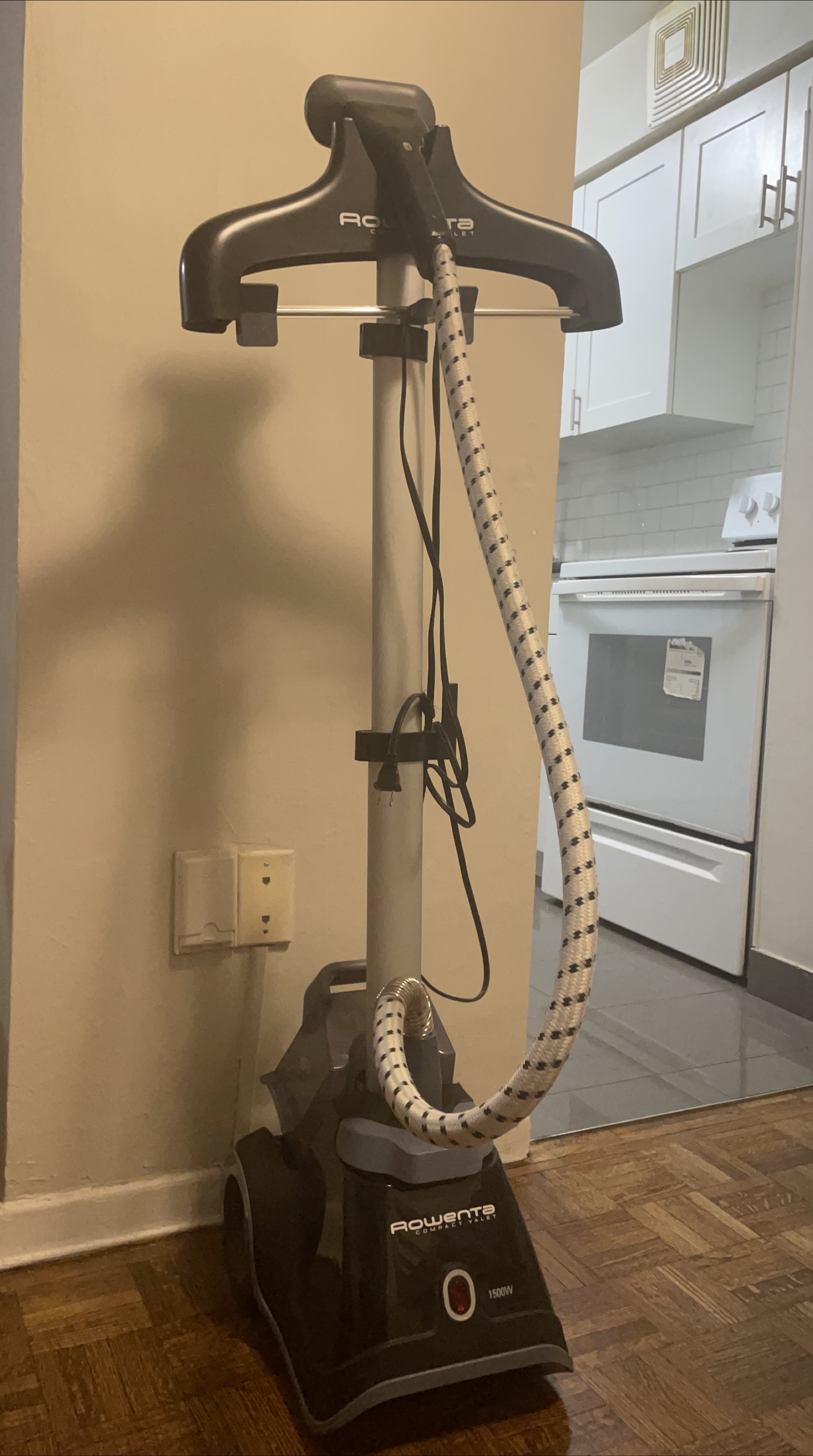 Rowenta Compact Valet Garment Steamer