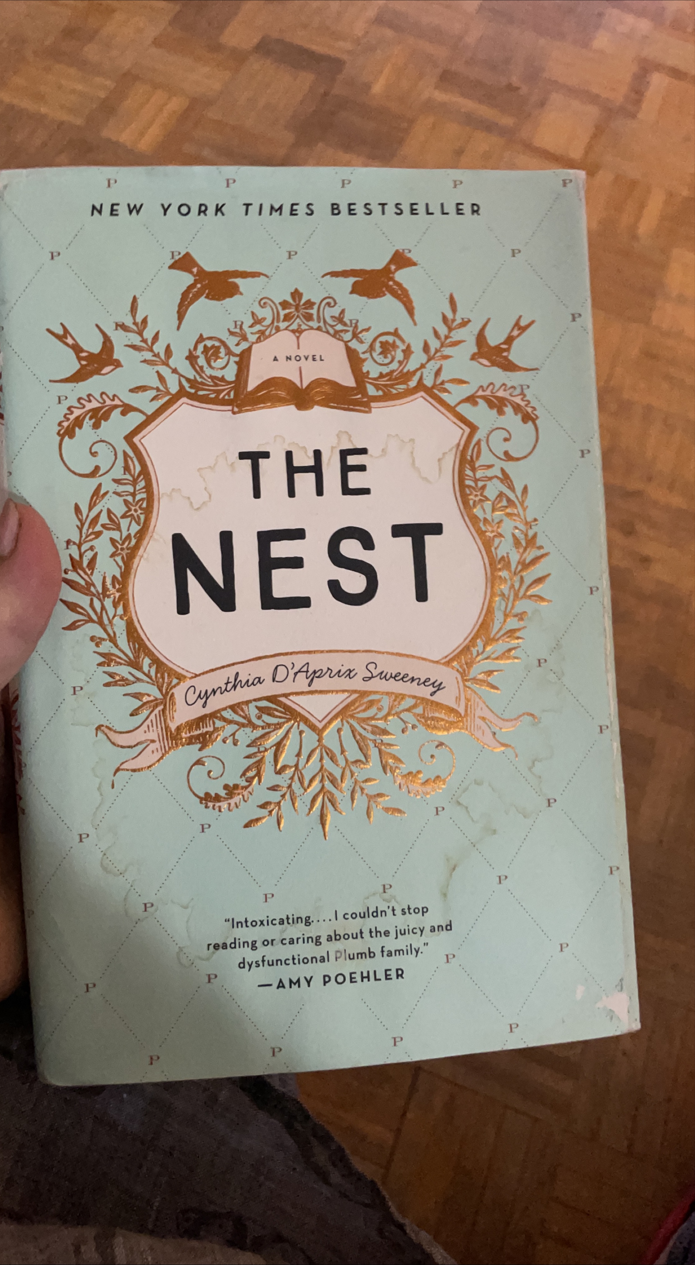 The Nest by Cynthia D'Aprix Sweeney thumbnail