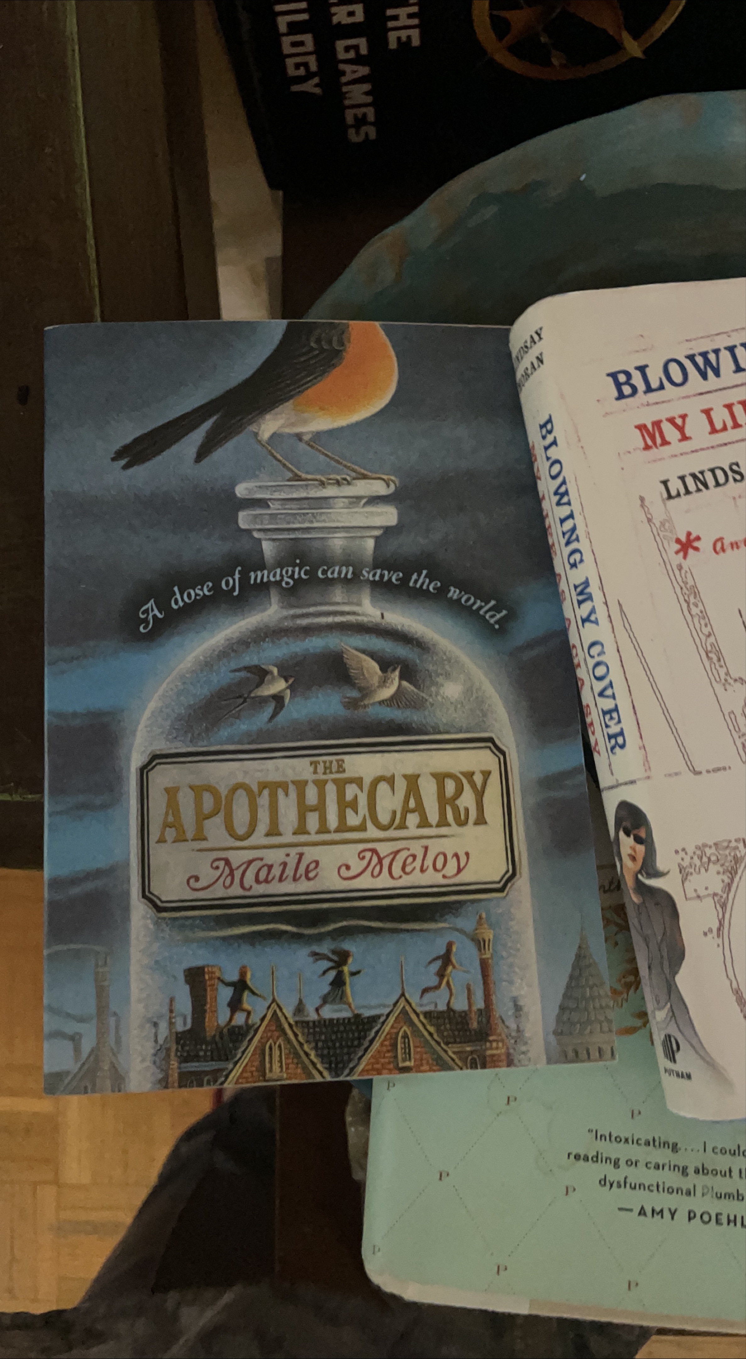The Apothecary by Maile Meloy thumbnail