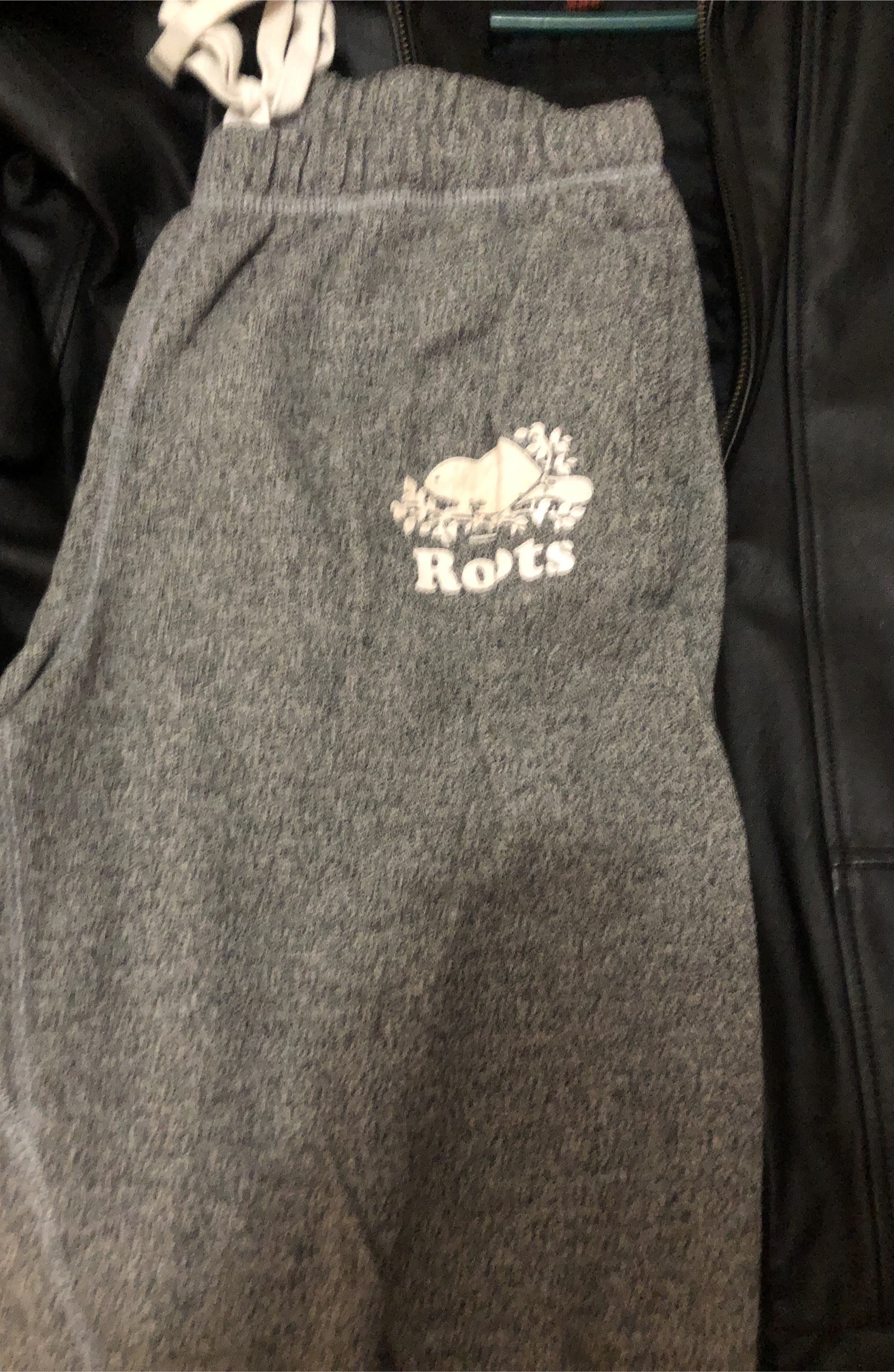 Roots Grey Sweatpants thumbnail