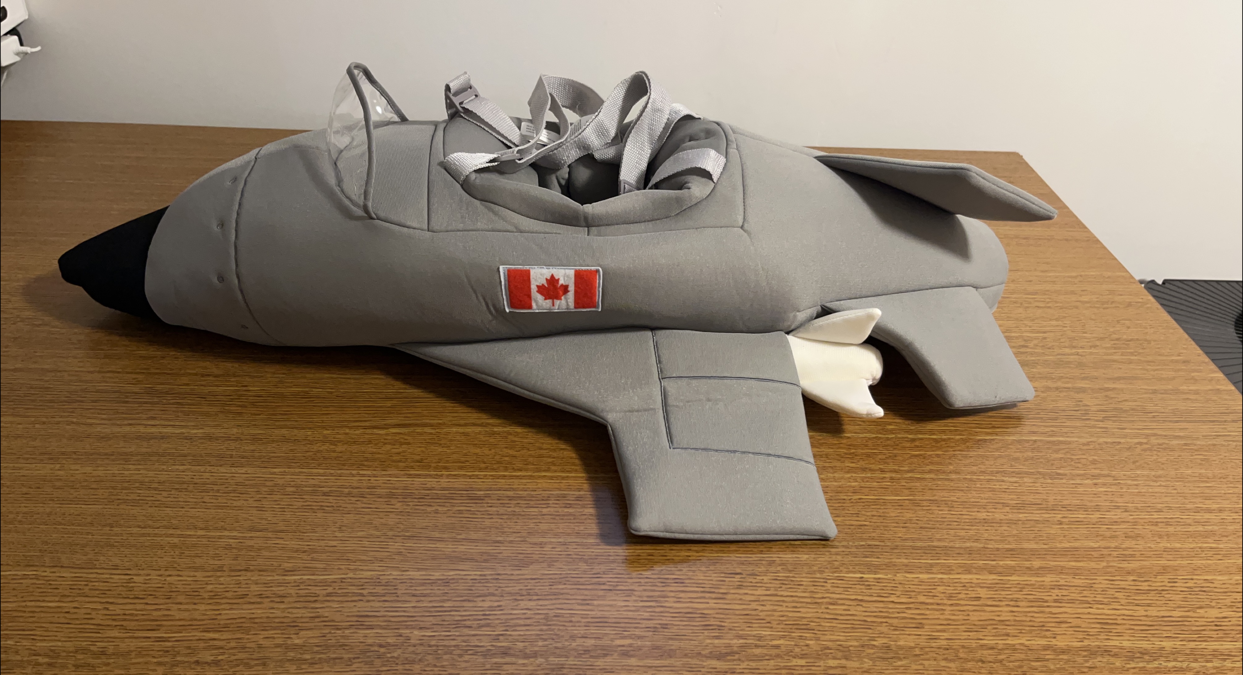 Airplane Costume for Kids thumbnail