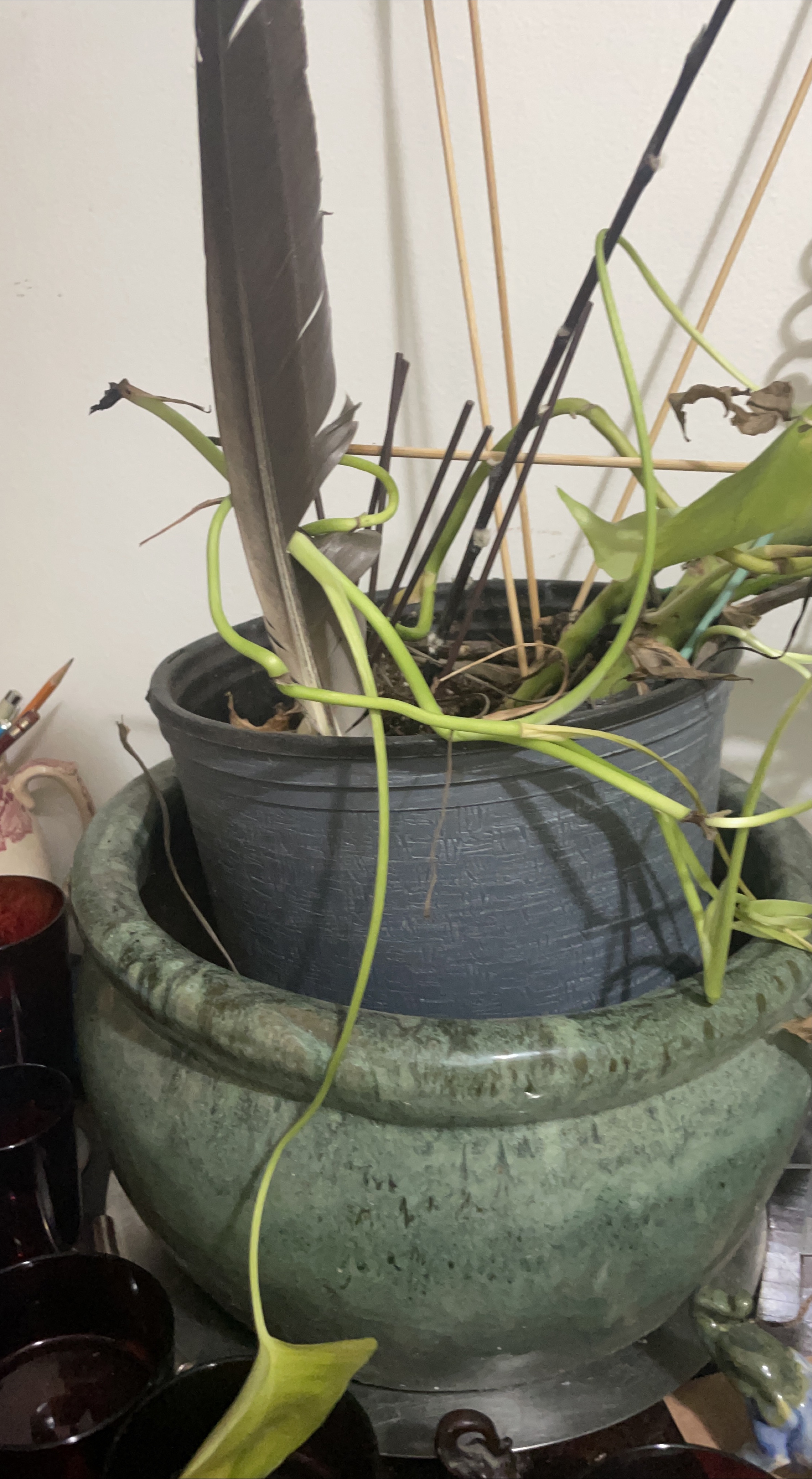 Massive green pot thumbnail