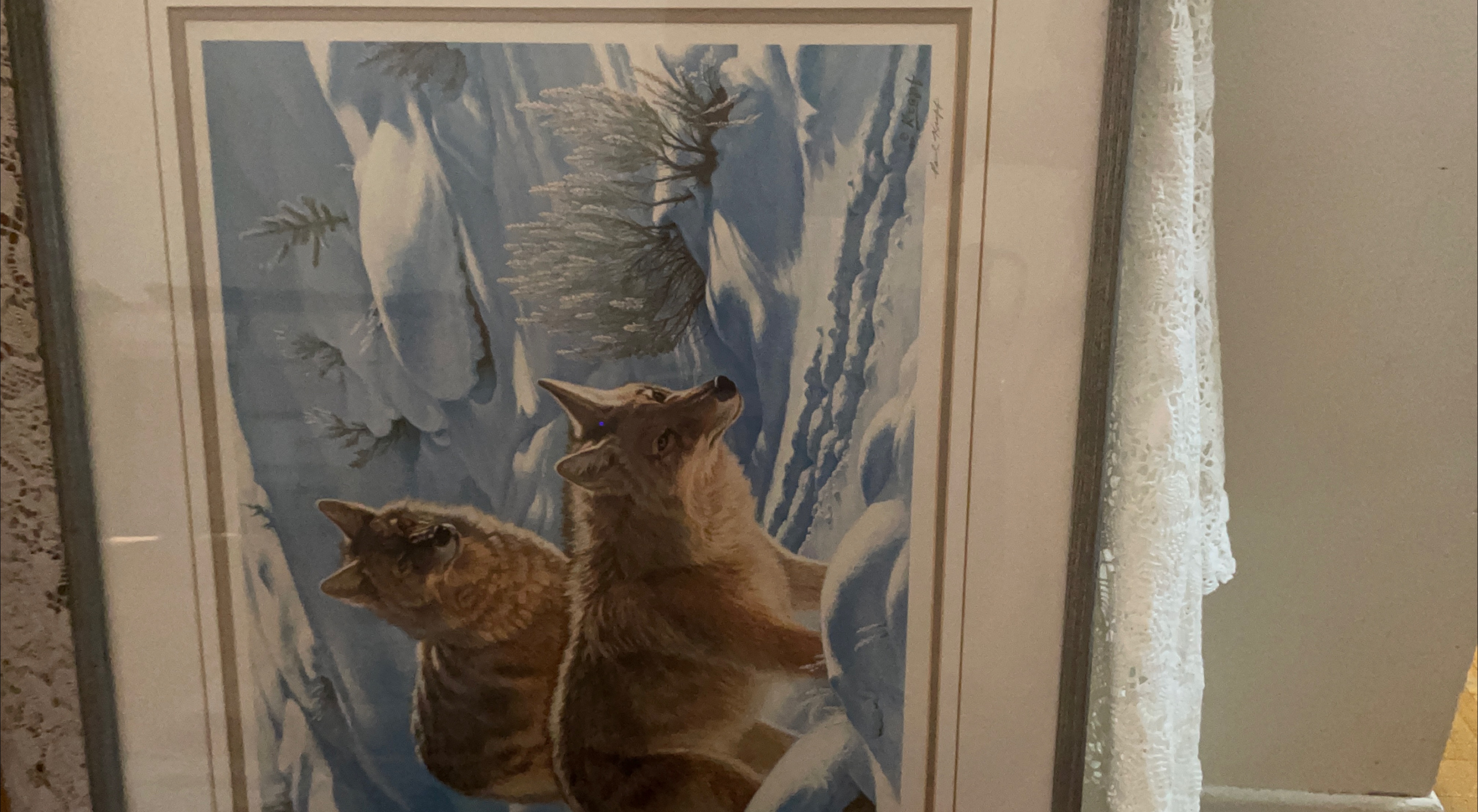 Framed Print of Coyotes in Snow by R.S. Johnson