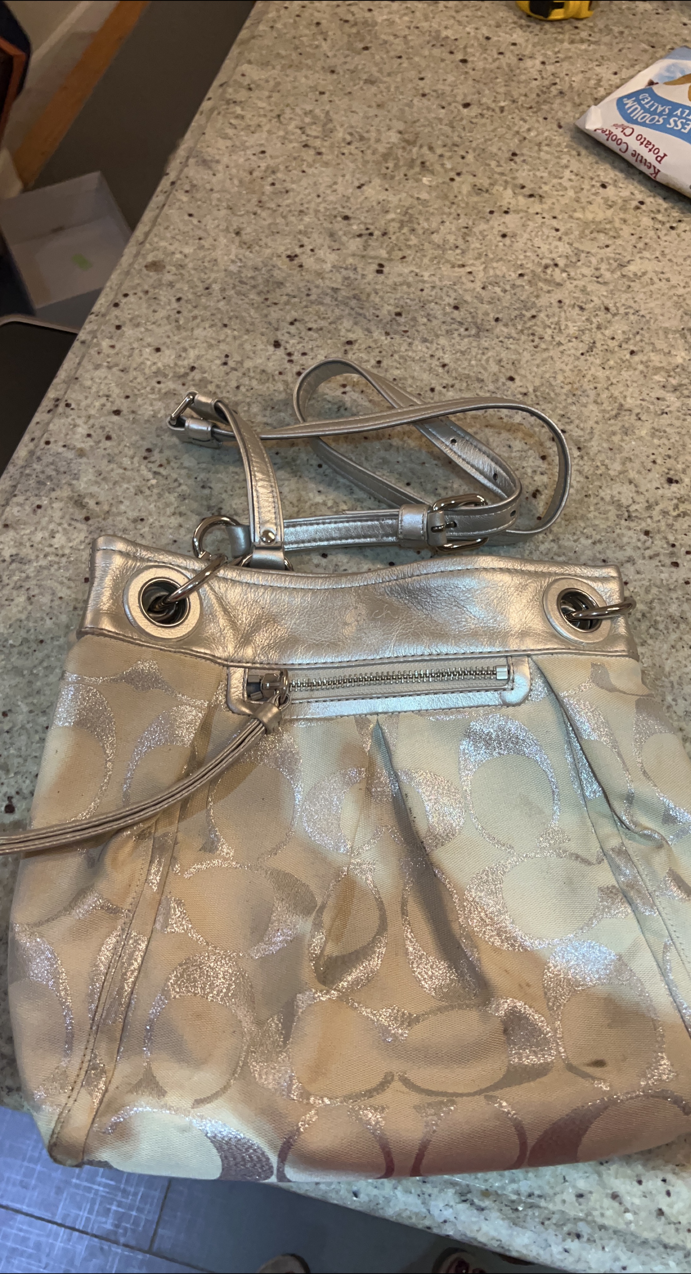 🥕 Day 6 - Thrifty Pick - Coach Silver Shoulder Bag thumbnail