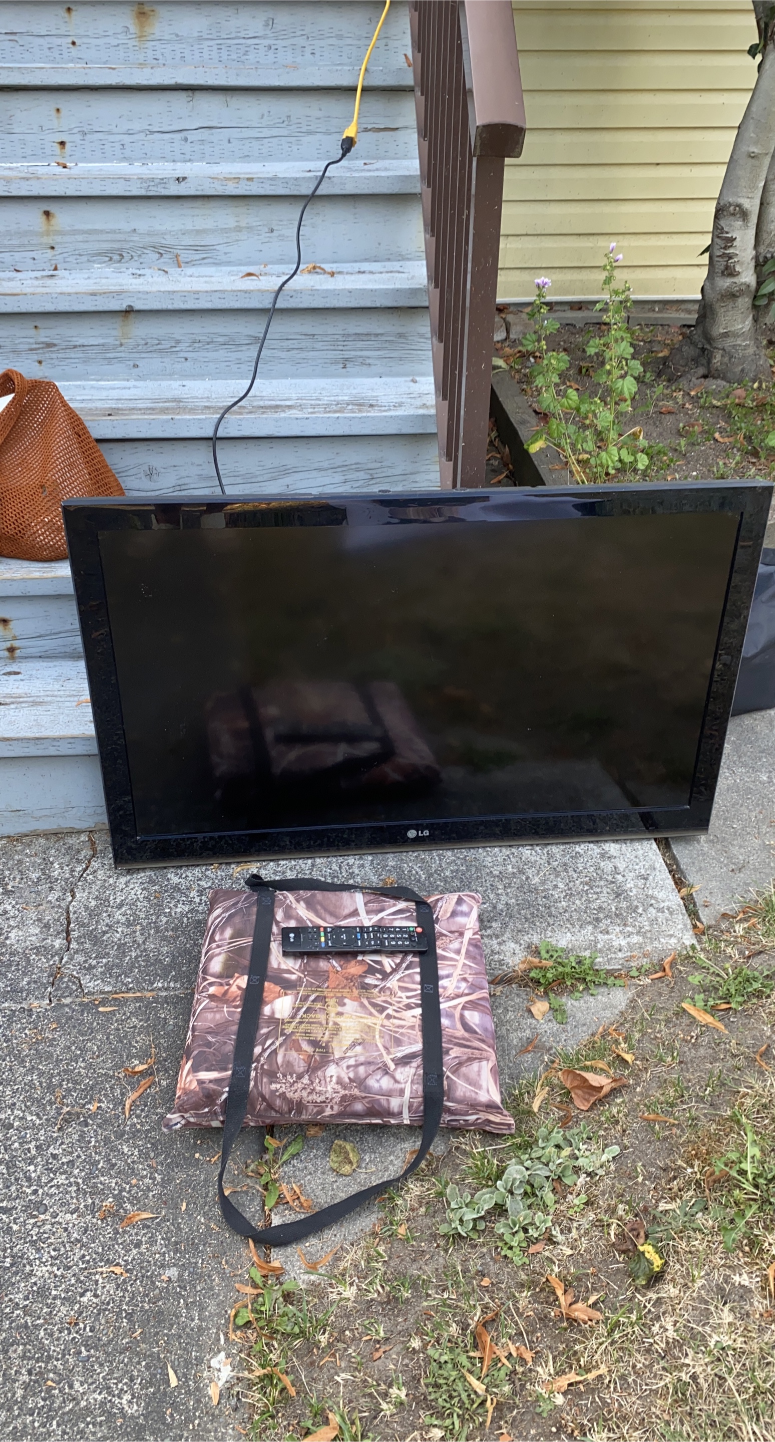 LG TV with Remote