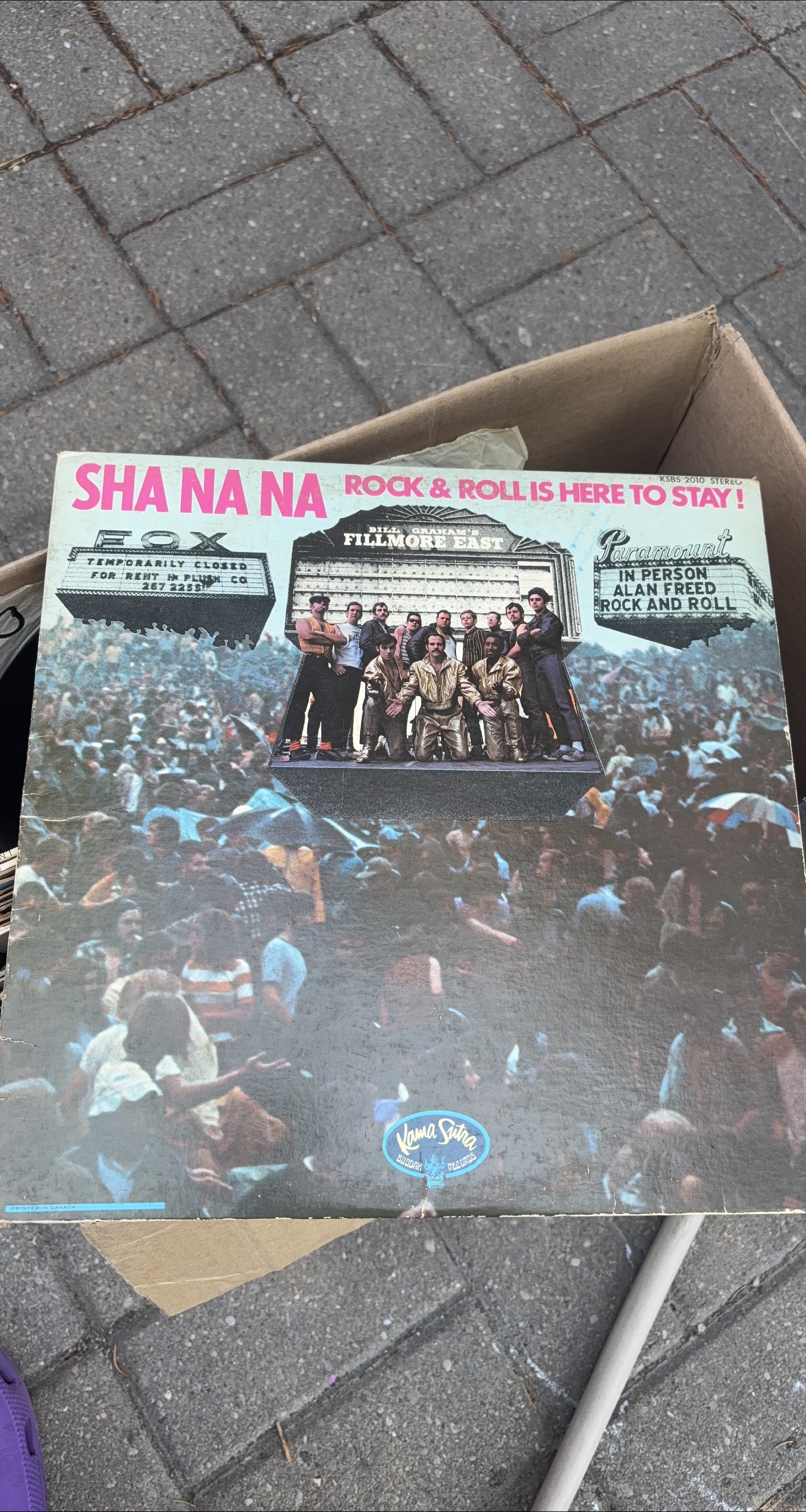 Sha Na Na - Rock & Roll Is Here To Stay! Vinyl Record thumbnail