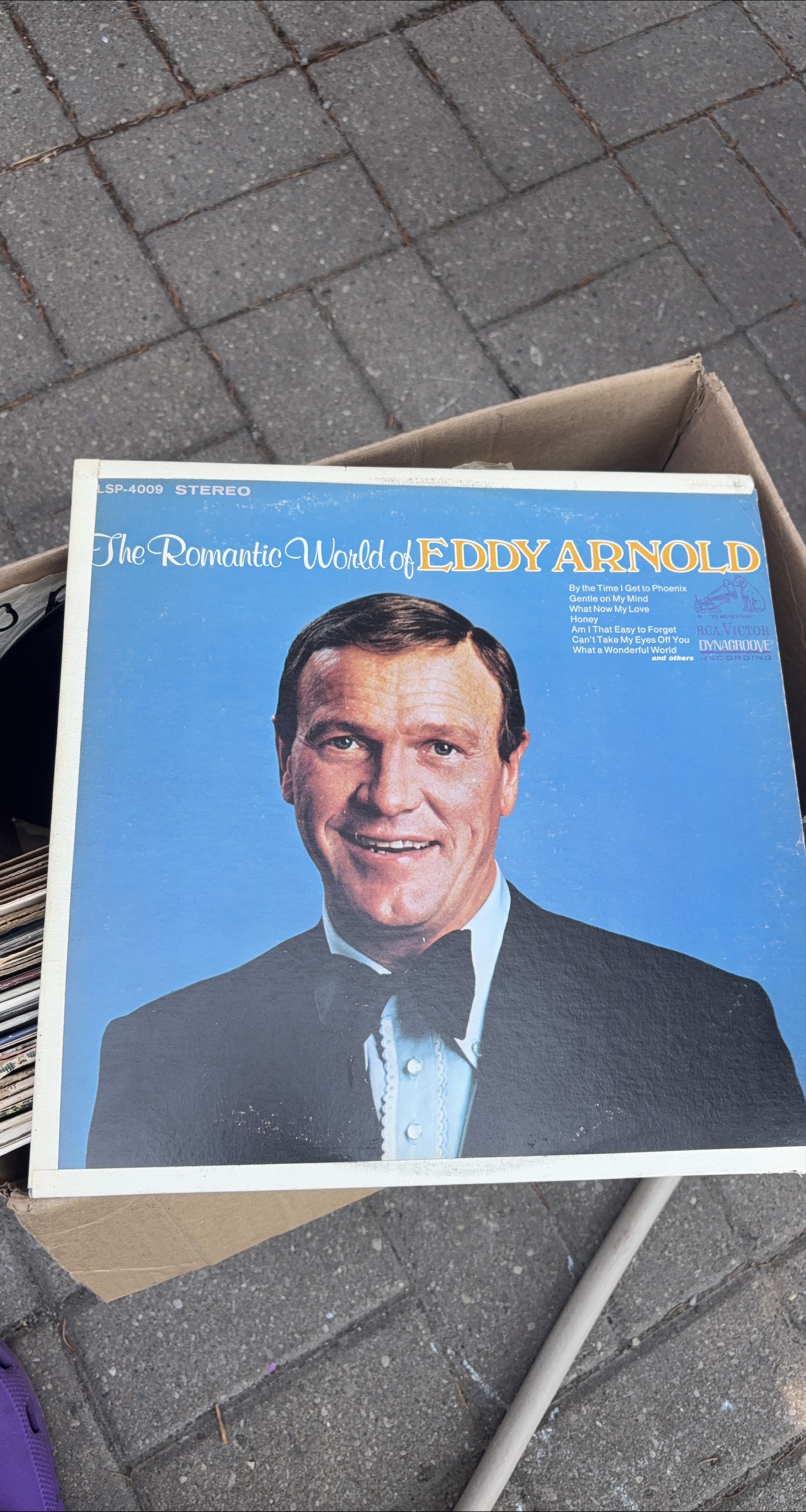 Eddy Arnold - The Romantic World Vinyl Record thumbnail