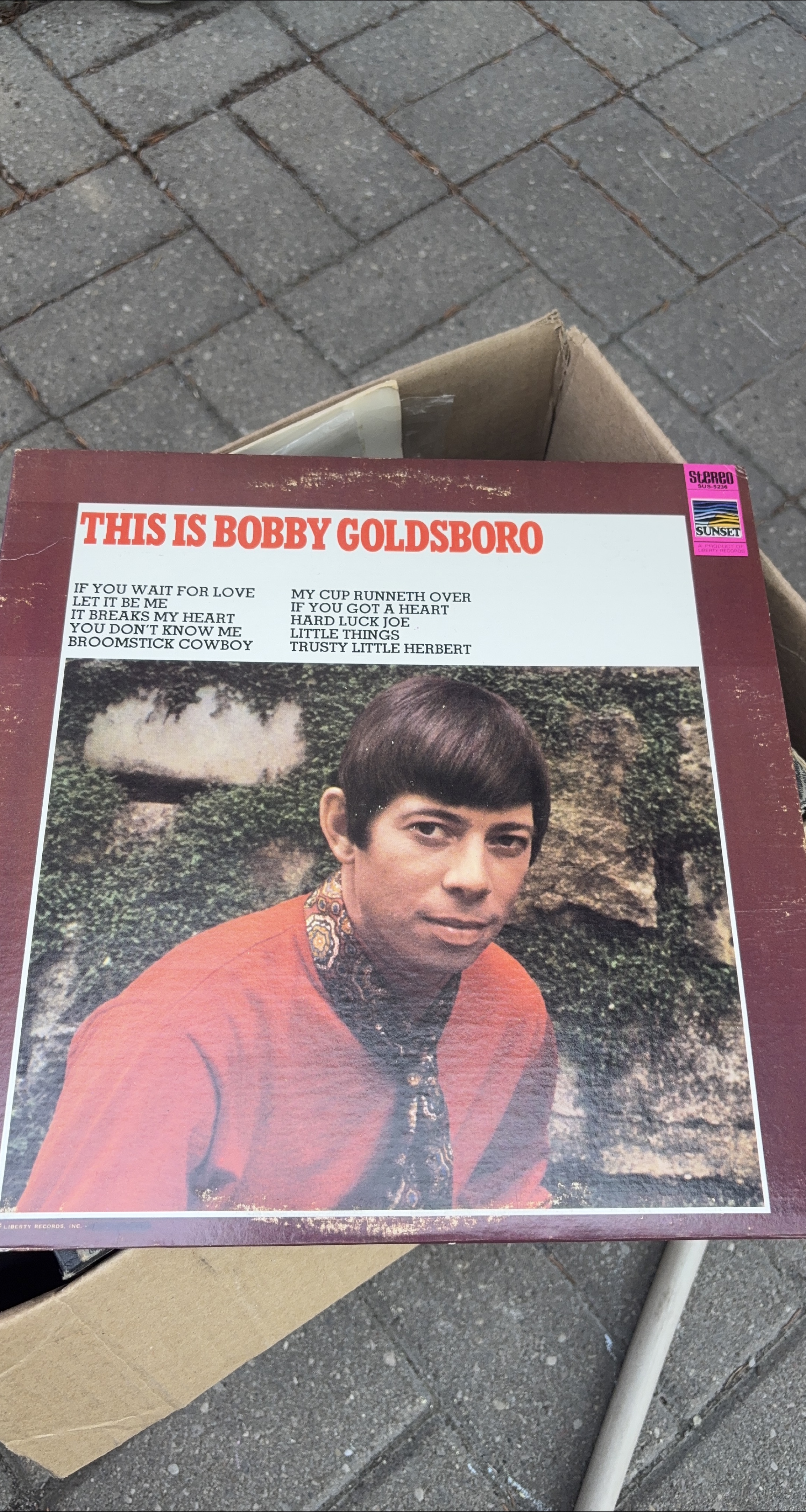 This is Bobby Goldsboro Vinyl Record thumbnail
