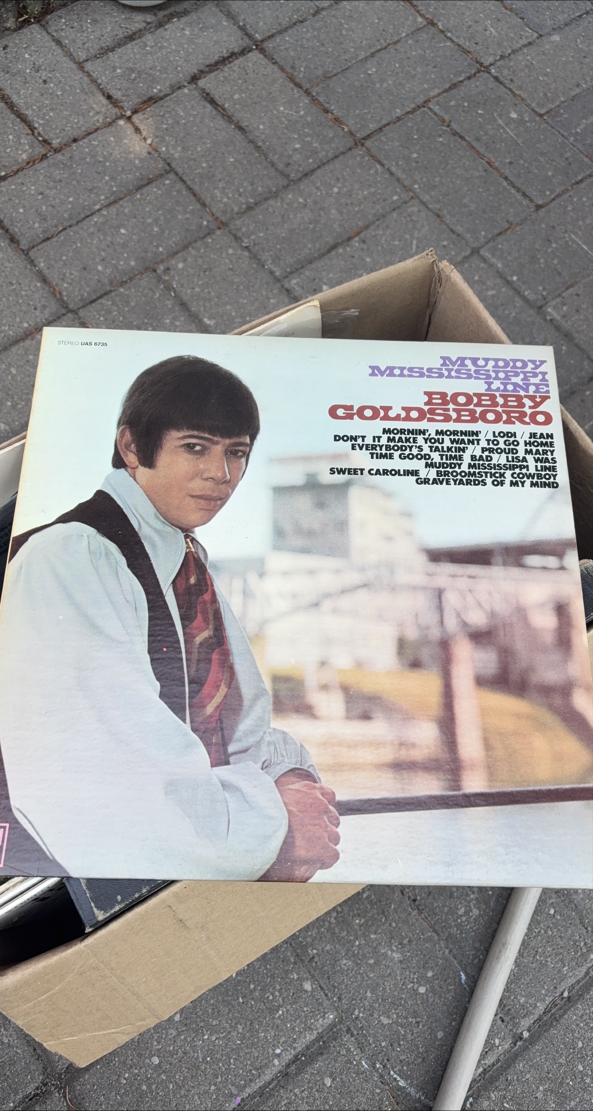 Bobby Goldsboro - Muddy Mississippi Line Vinyl Record thumbnail