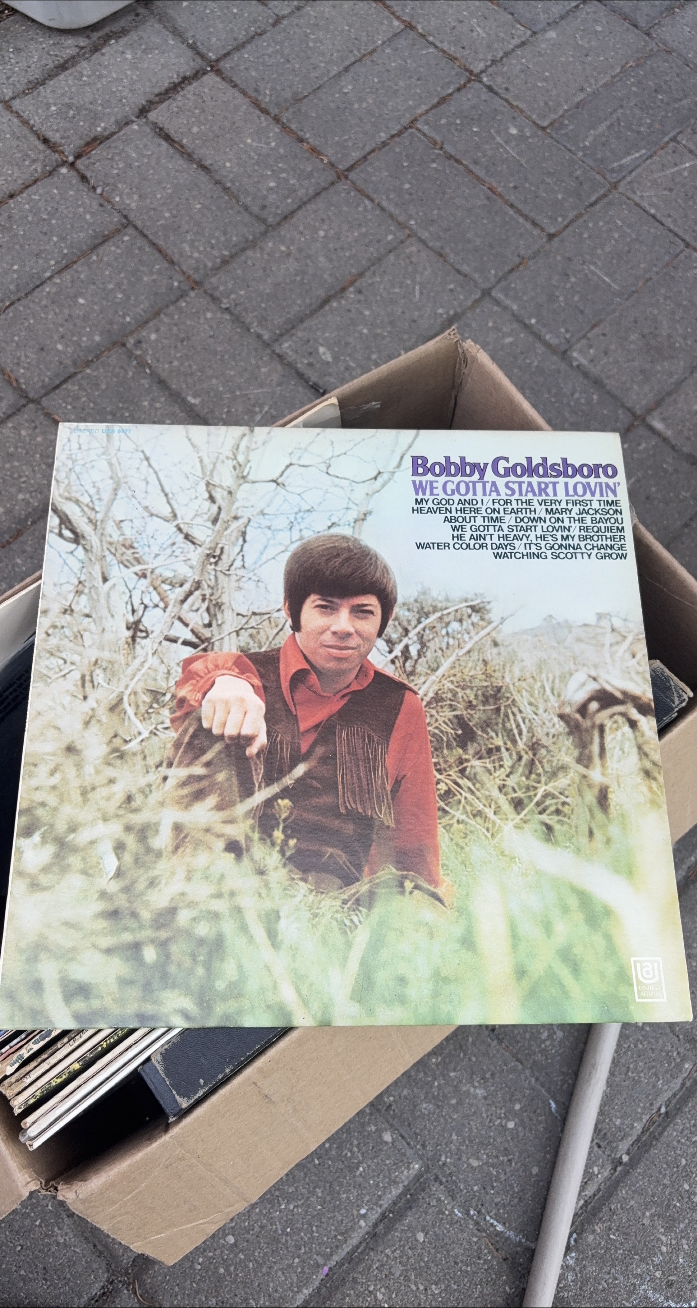 Bobby Goldsboro - We Gotta Start Lovin' LP thumbnail