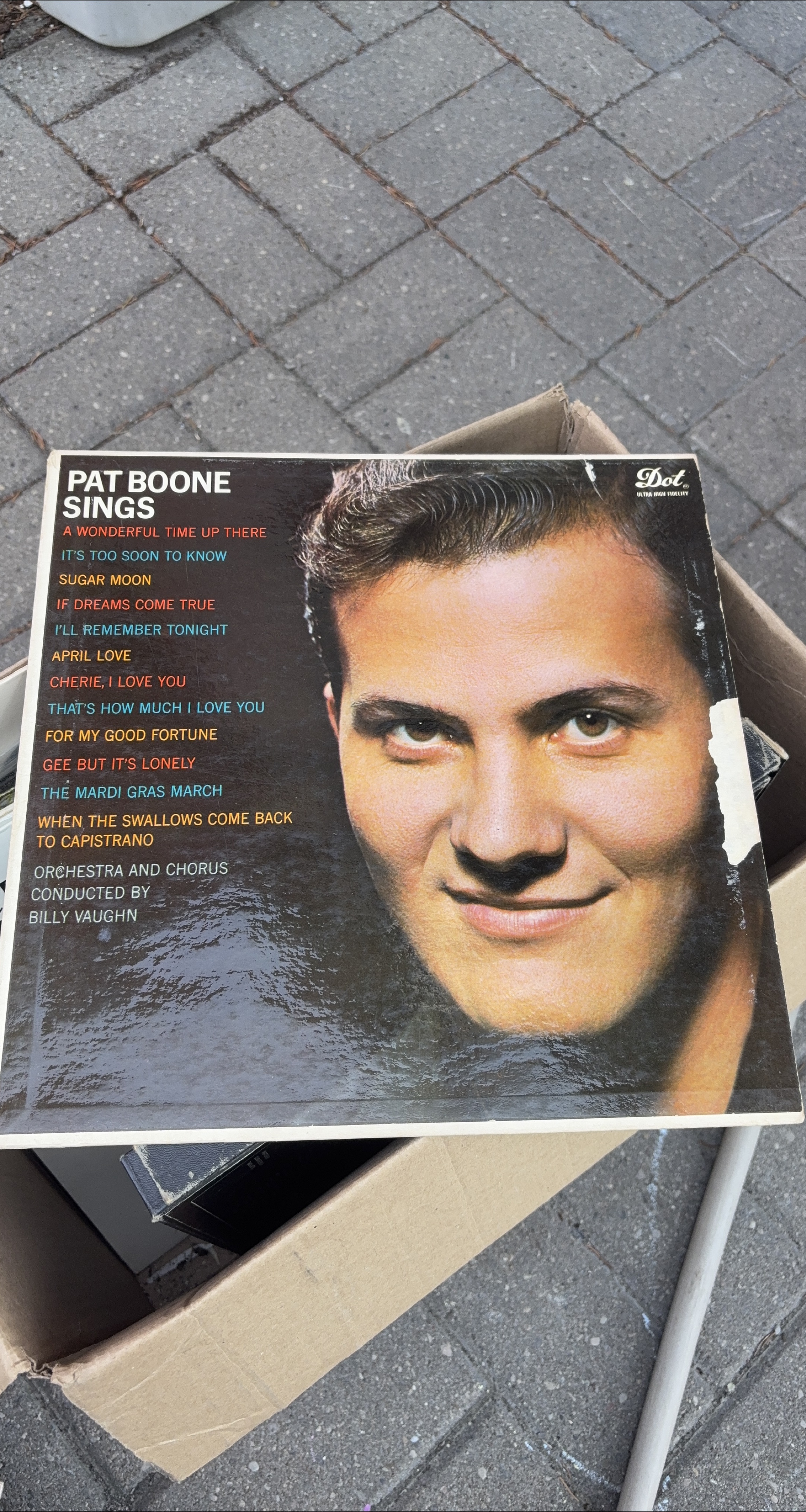 Pat Boone Sings Vinyl Record thumbnail