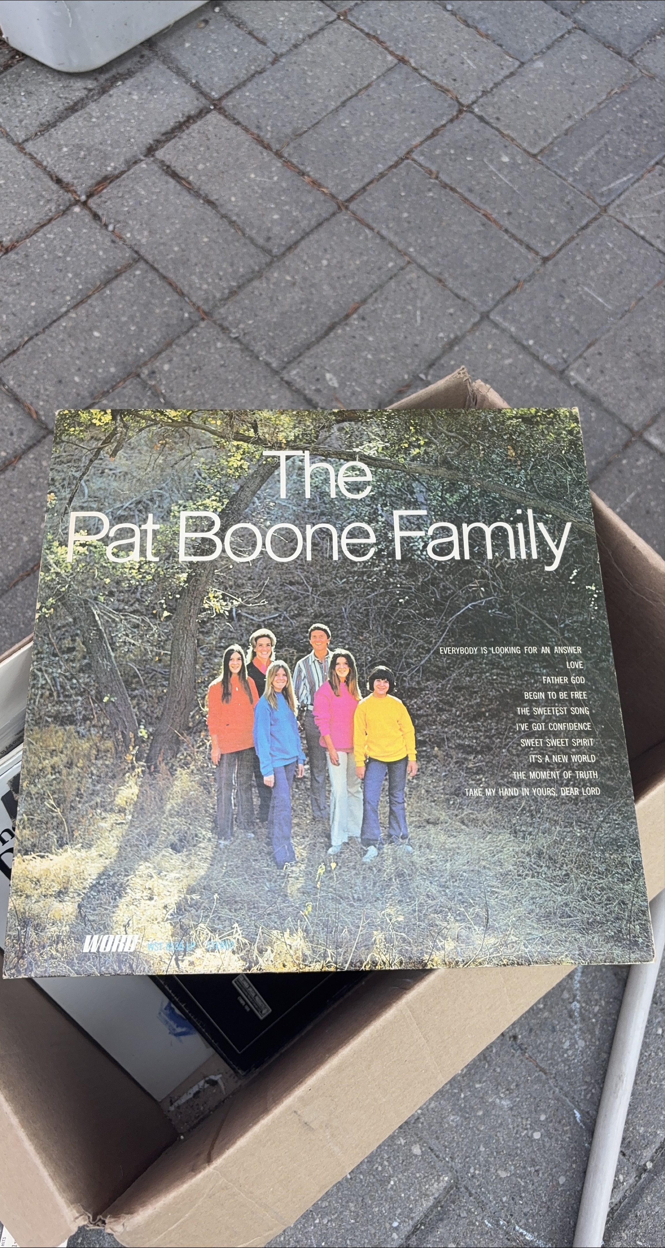 The Pat Boone Family Vinyl Record thumbnail