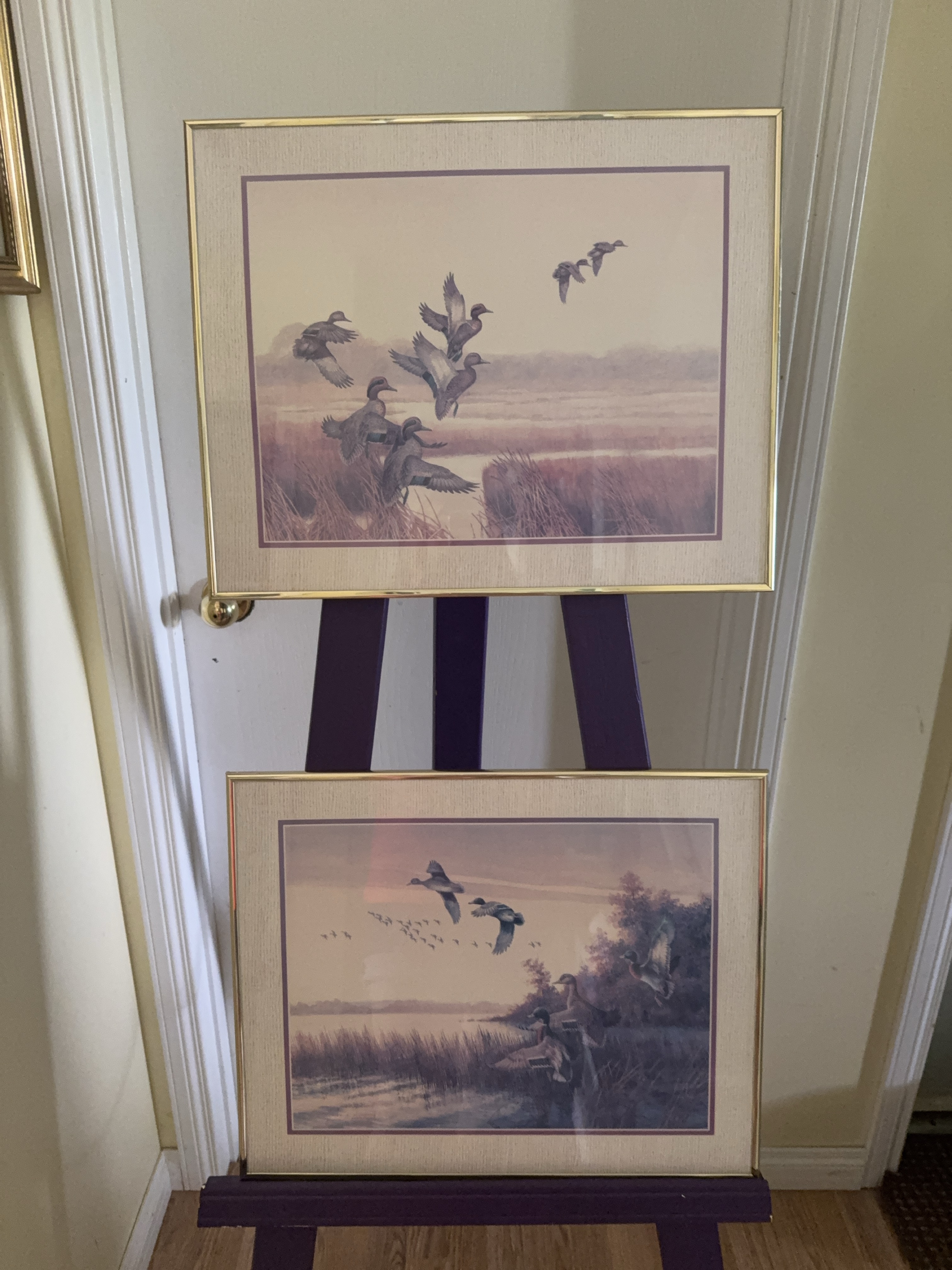 Set of 2 Framed Duck Prints