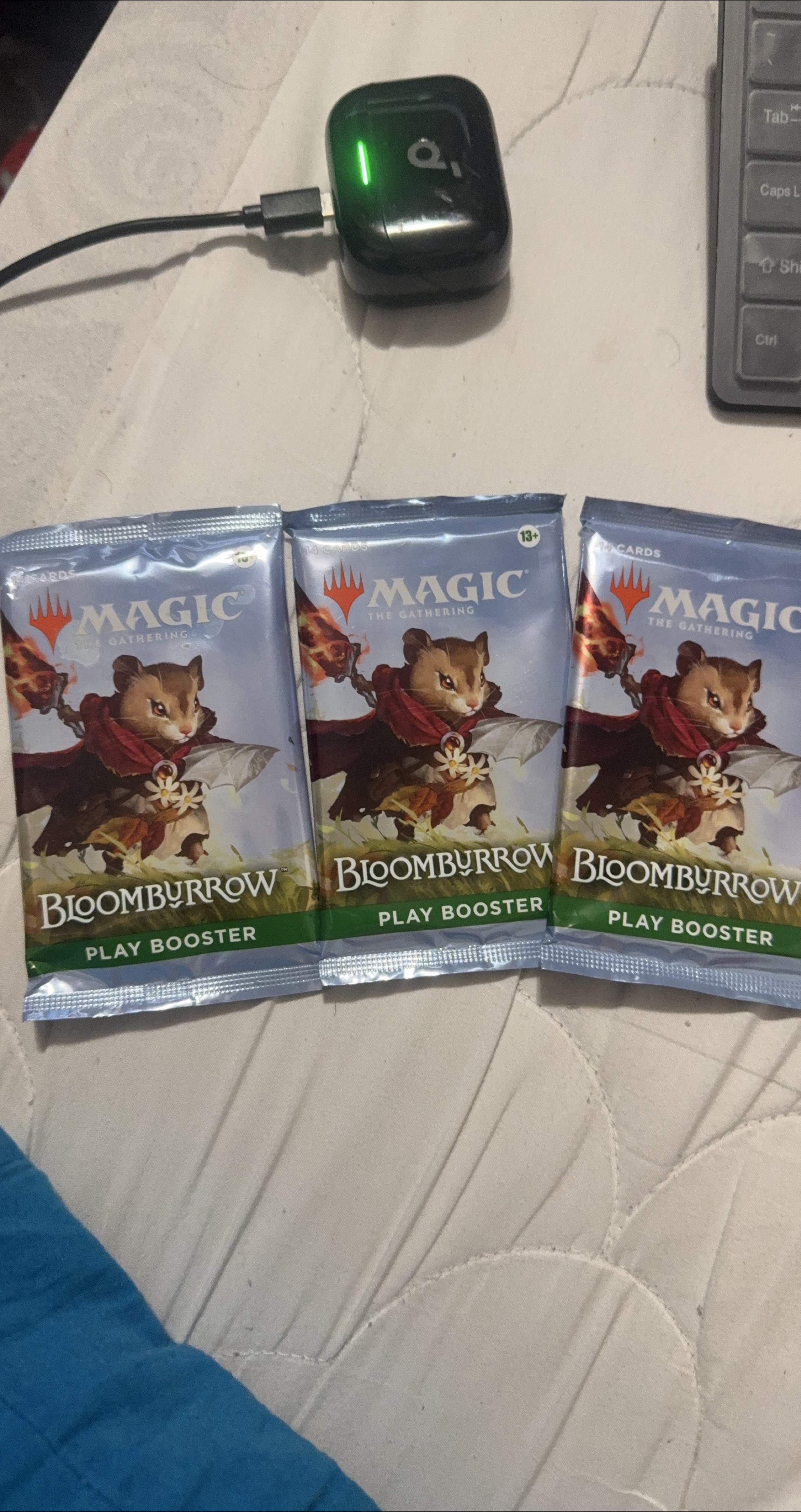 Magic The Gathering: Bloomburrow Play Booster thumbnail