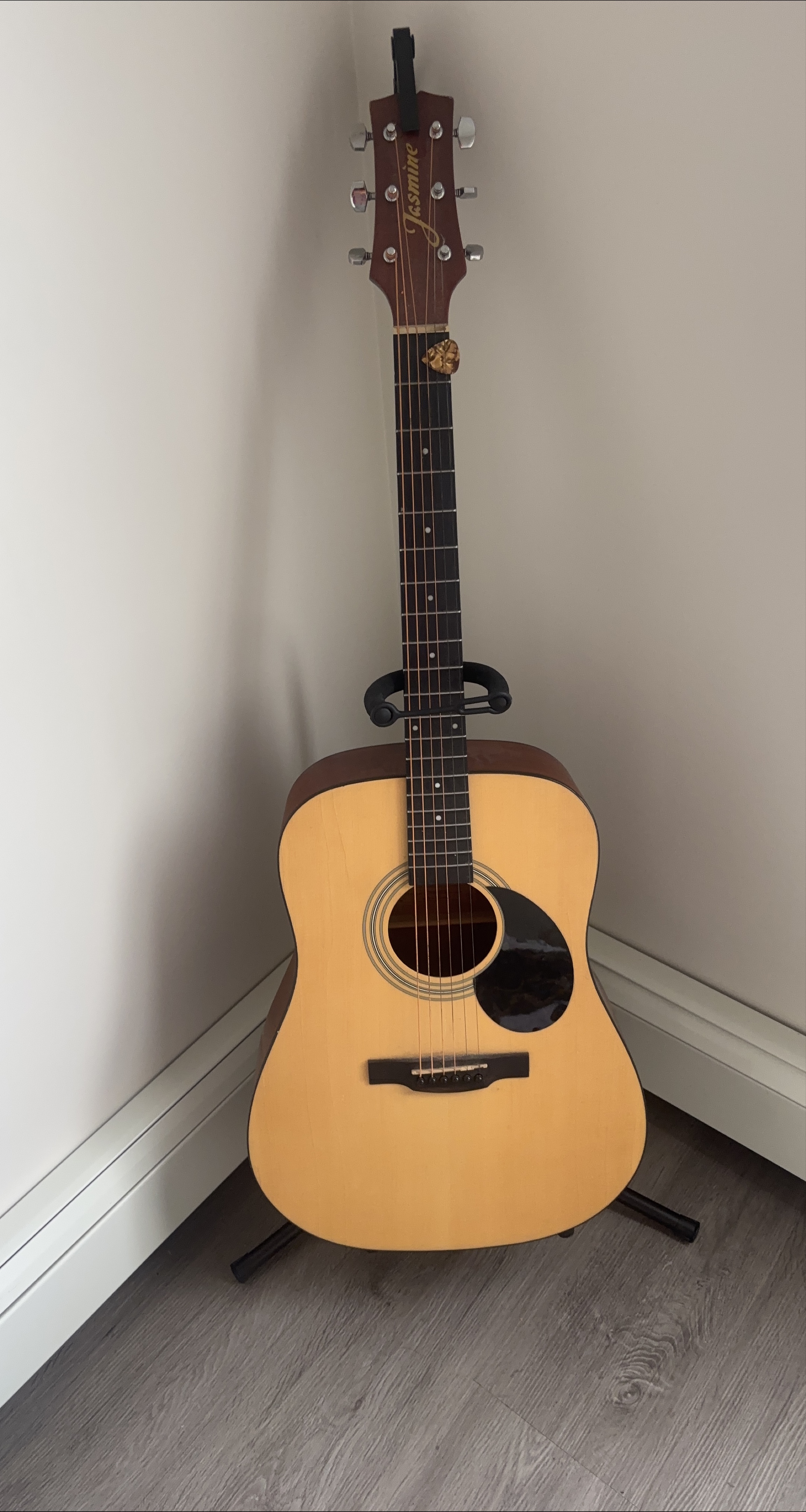 Jasmine Acoustic Guitar