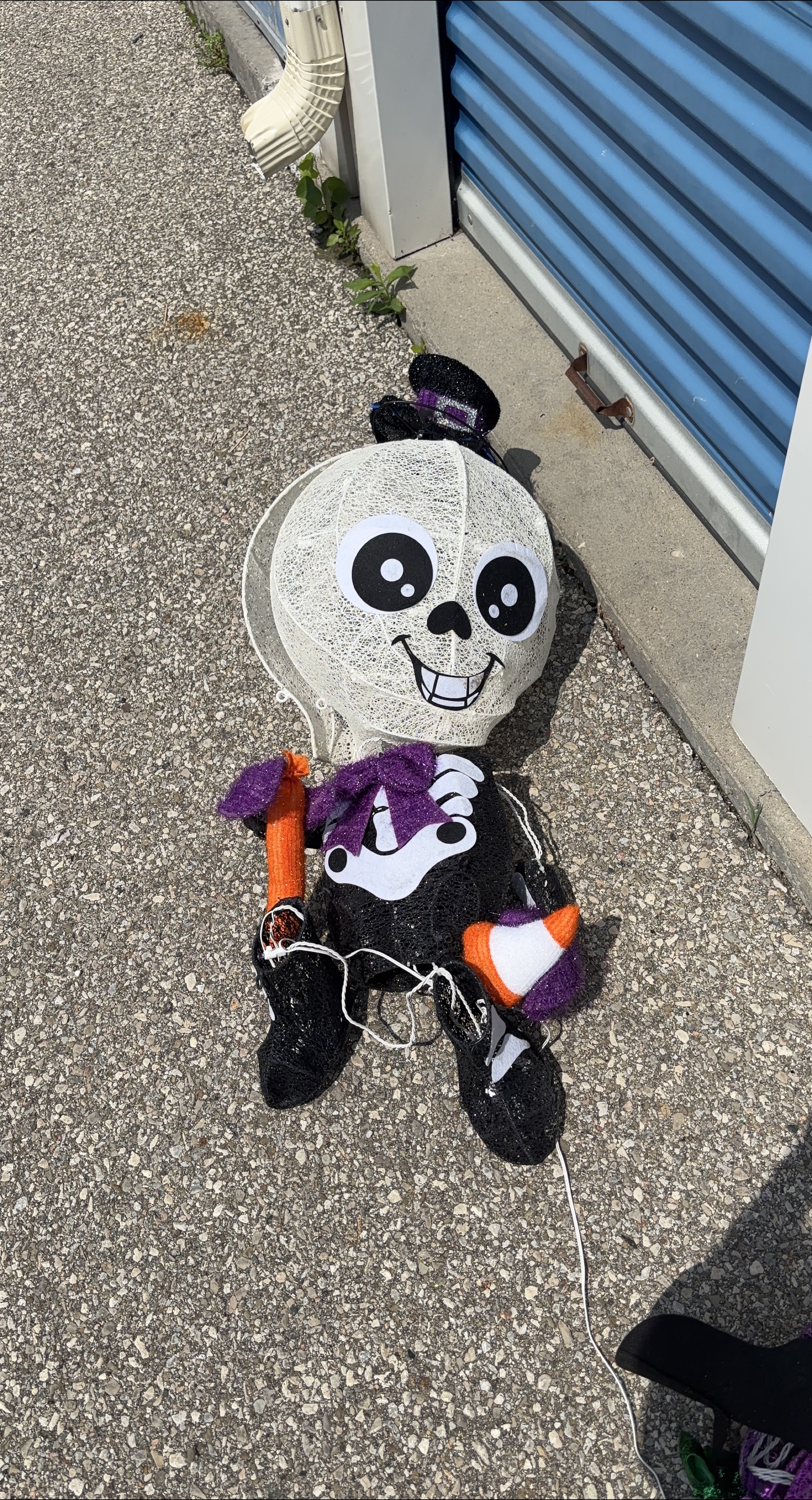 Halloween Skeleton Decoration thumbnail