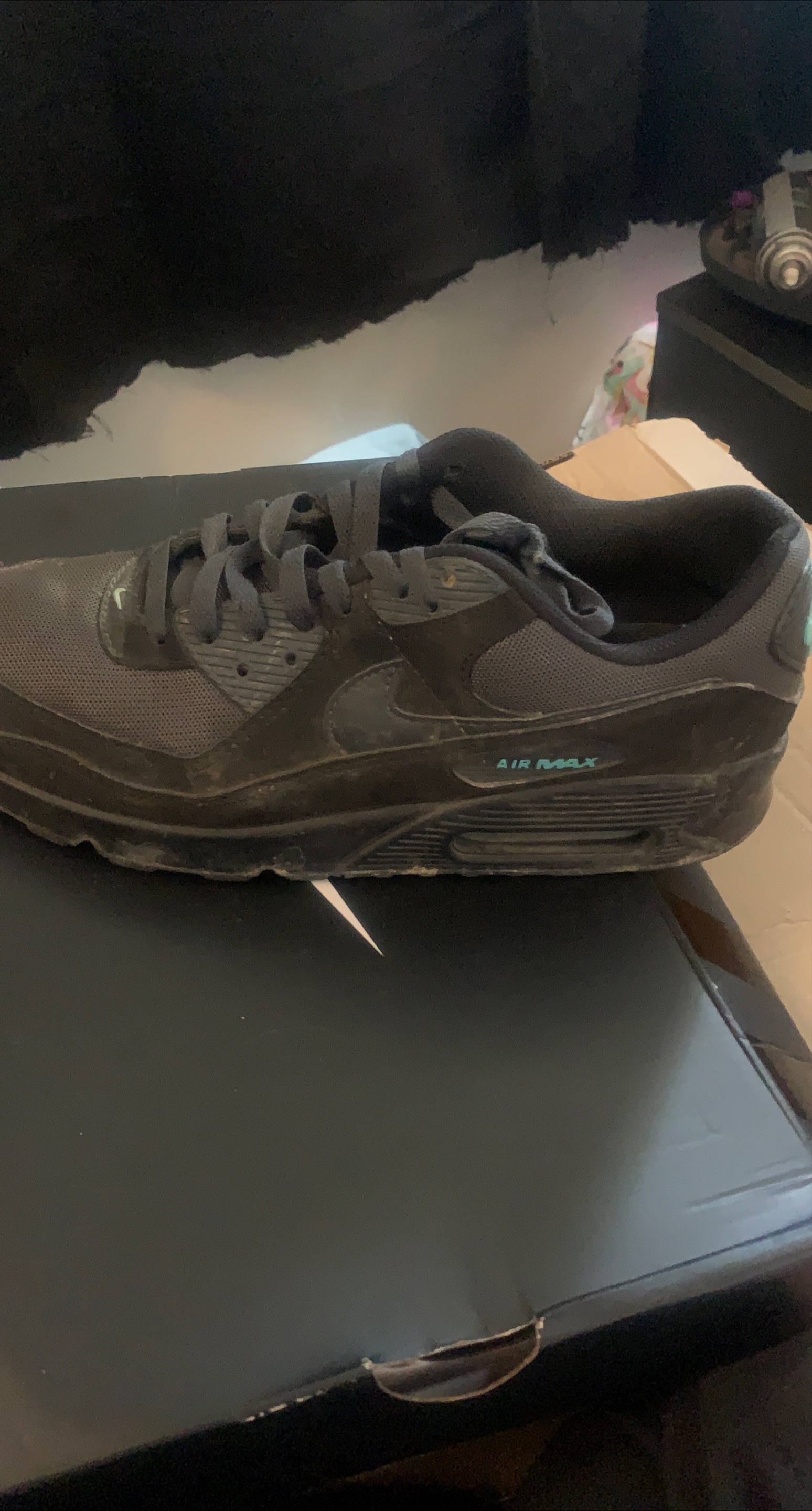 Nike Air Max 90 thumbnail