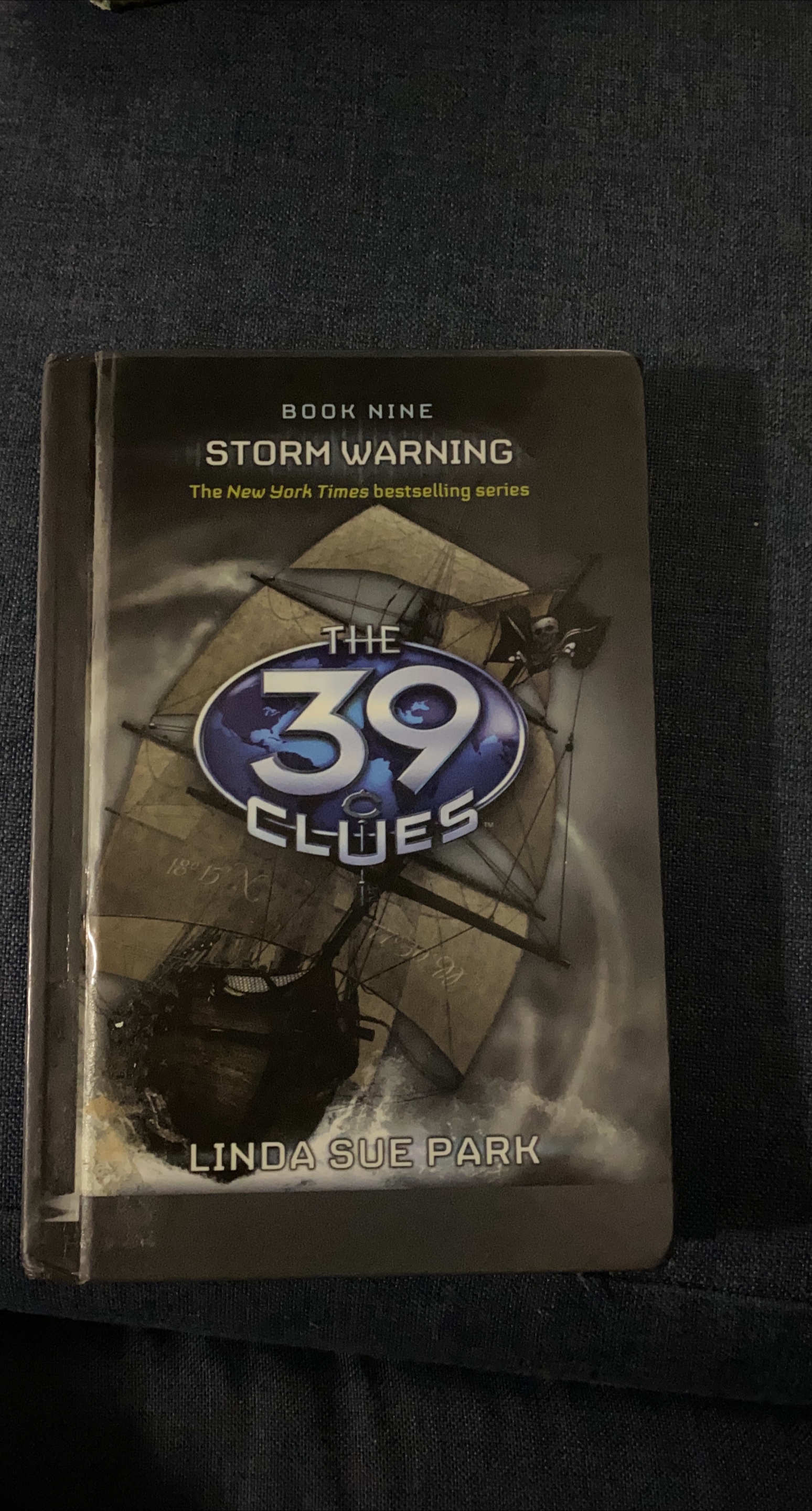 The 39 Clues: Storm Warning by Linda Sue Park thumbnail
