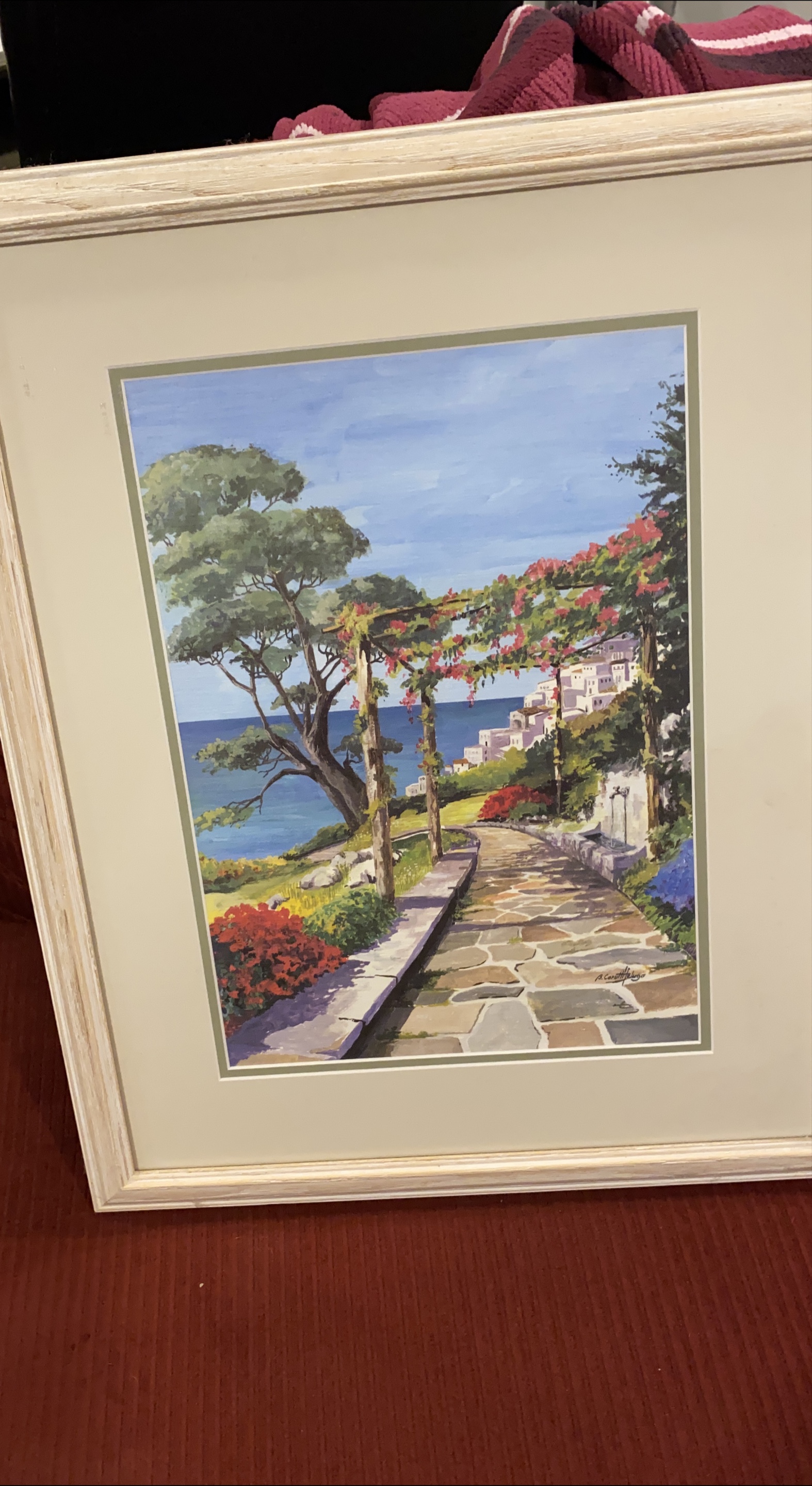 Framed Art Print - Coastal Pathway thumbnail