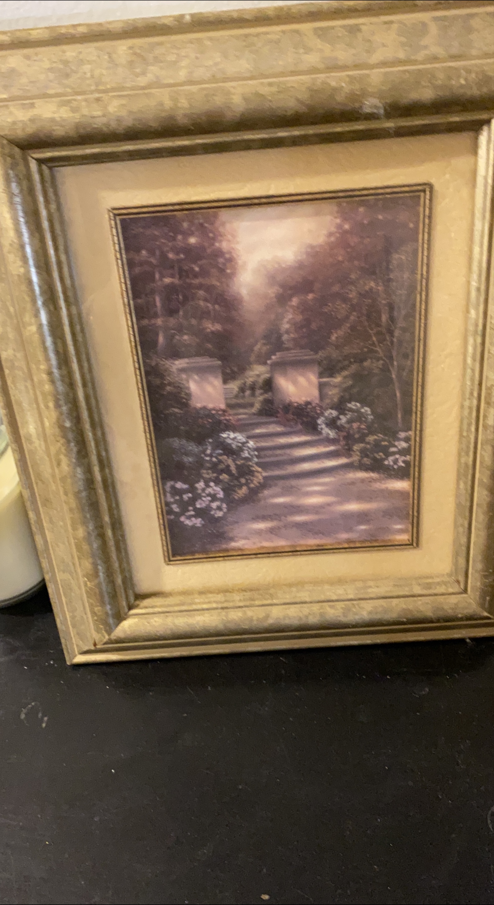 Framed Landscape Print