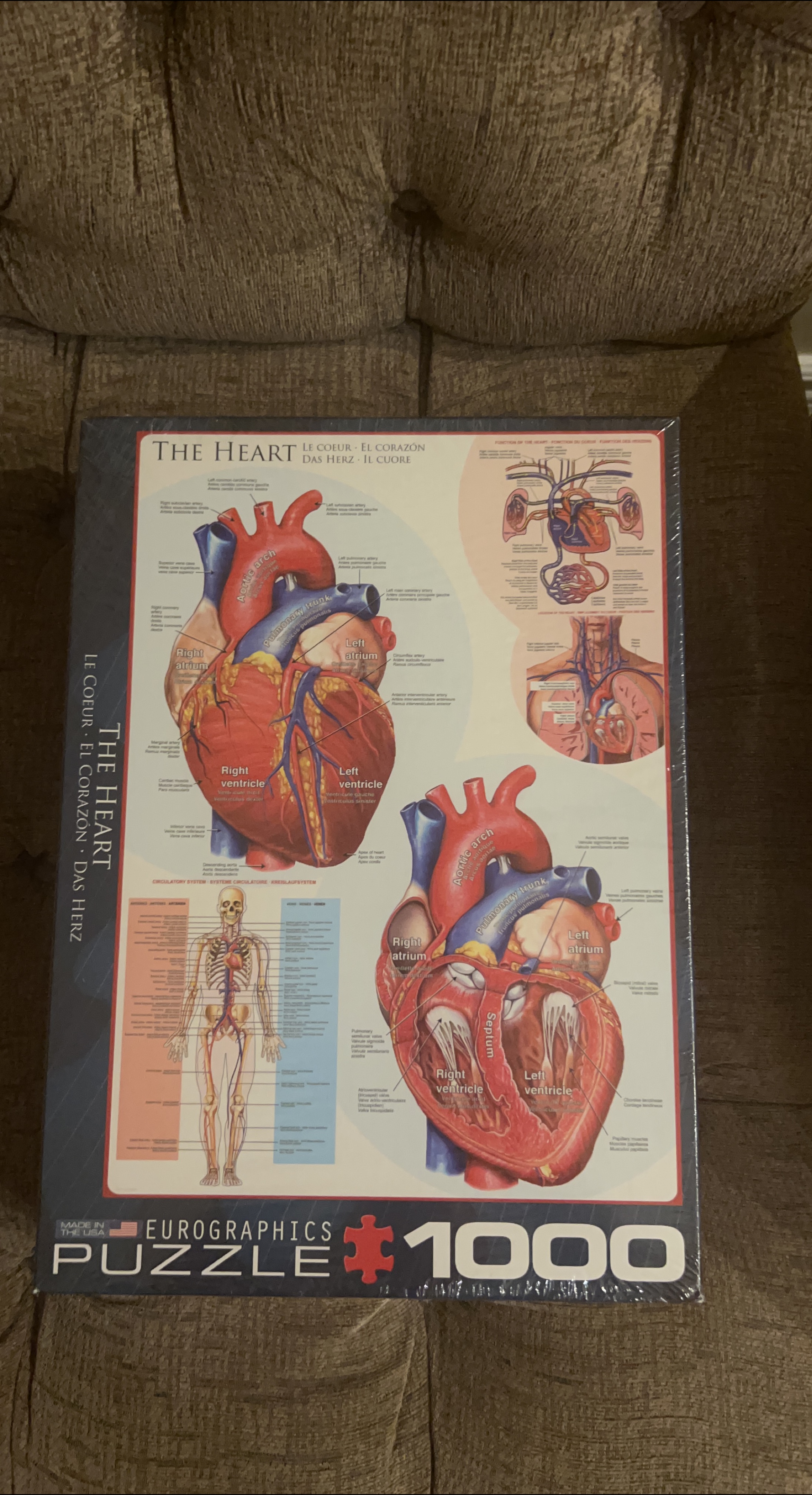 Eurographics The Heart 1000 Piece Puzzle thumbnail