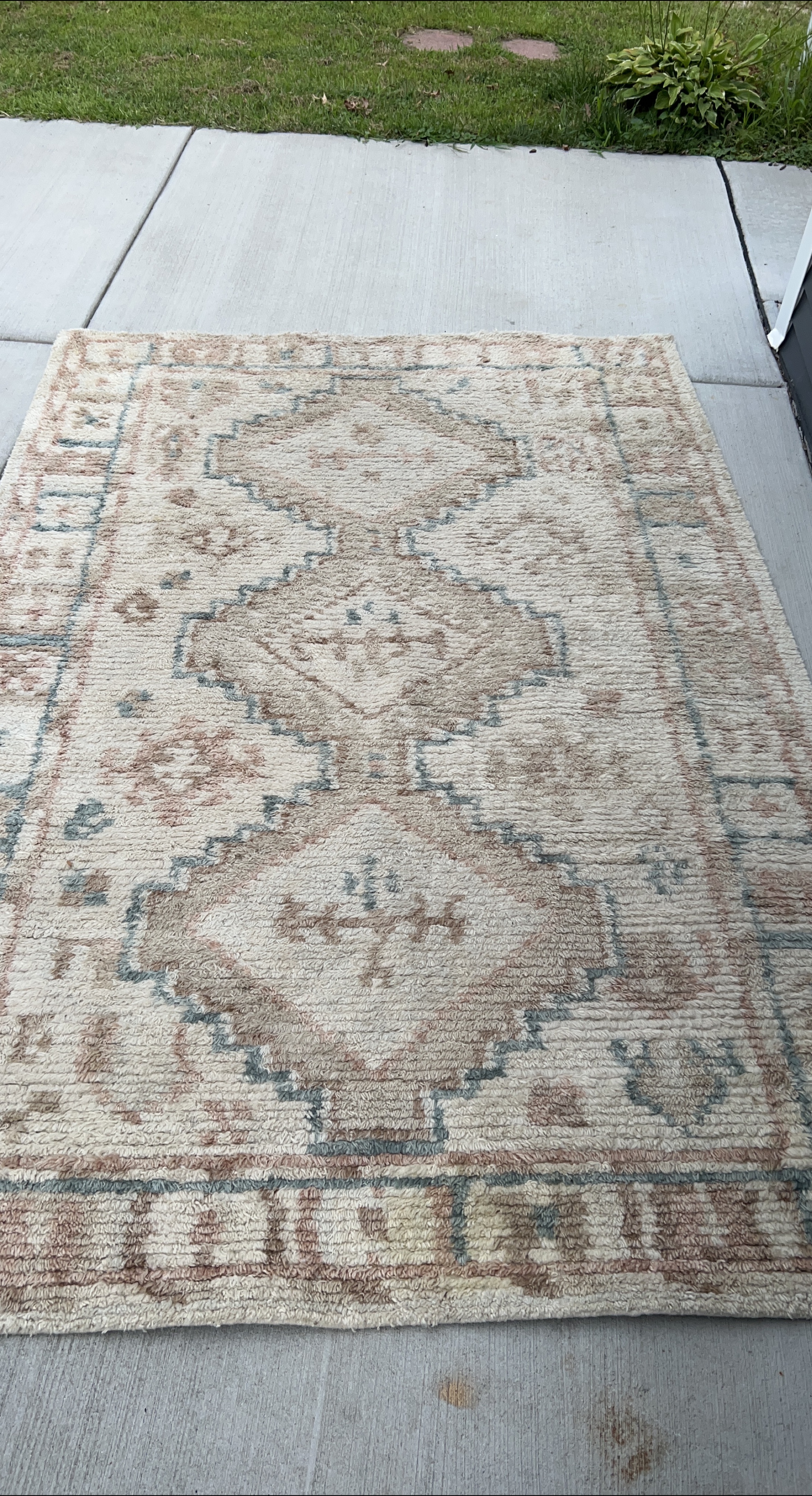 Area Rug - Beige & Brown thumbnail