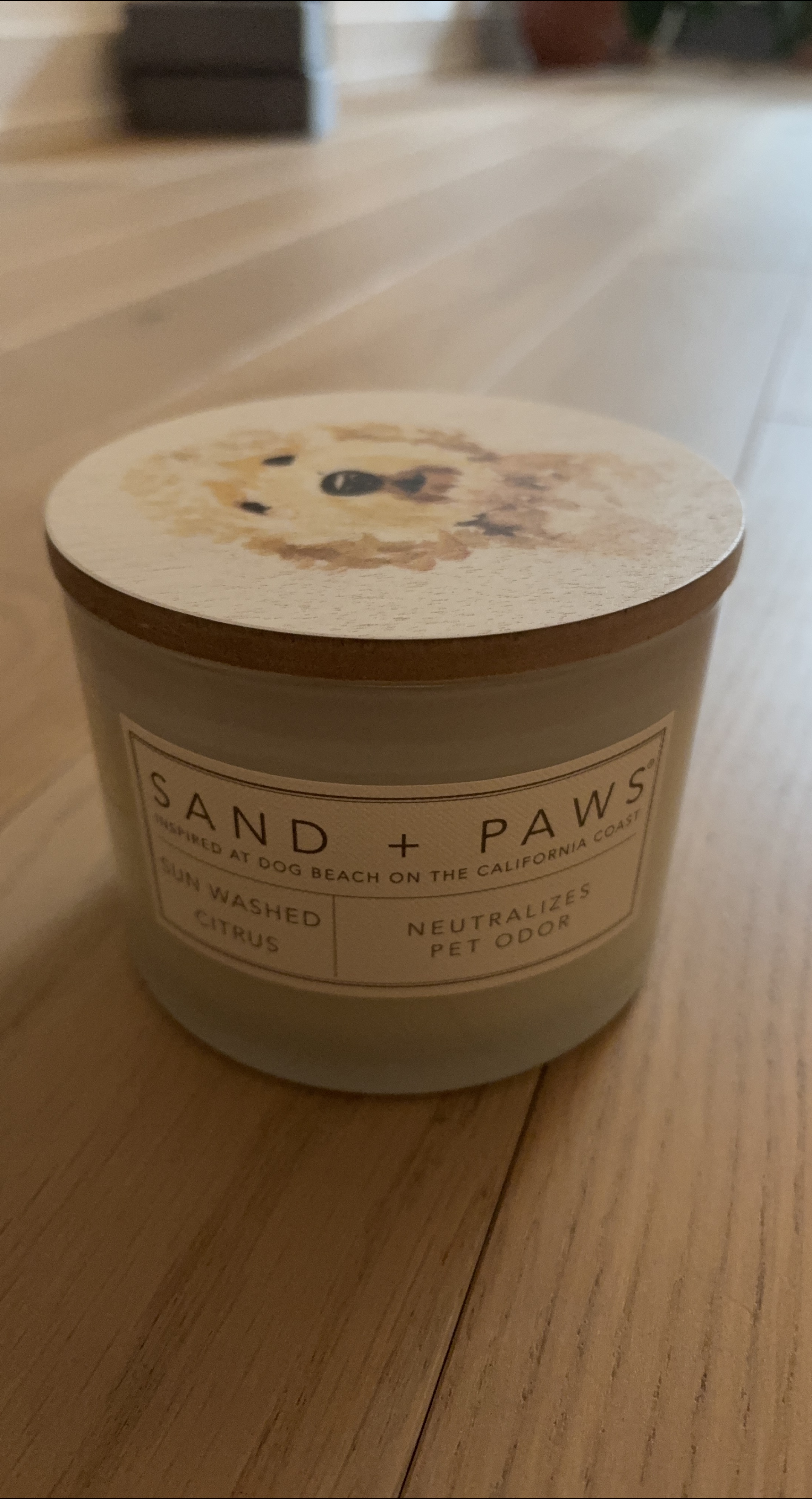 Sand + Paws Sun Washed Citrus Candle