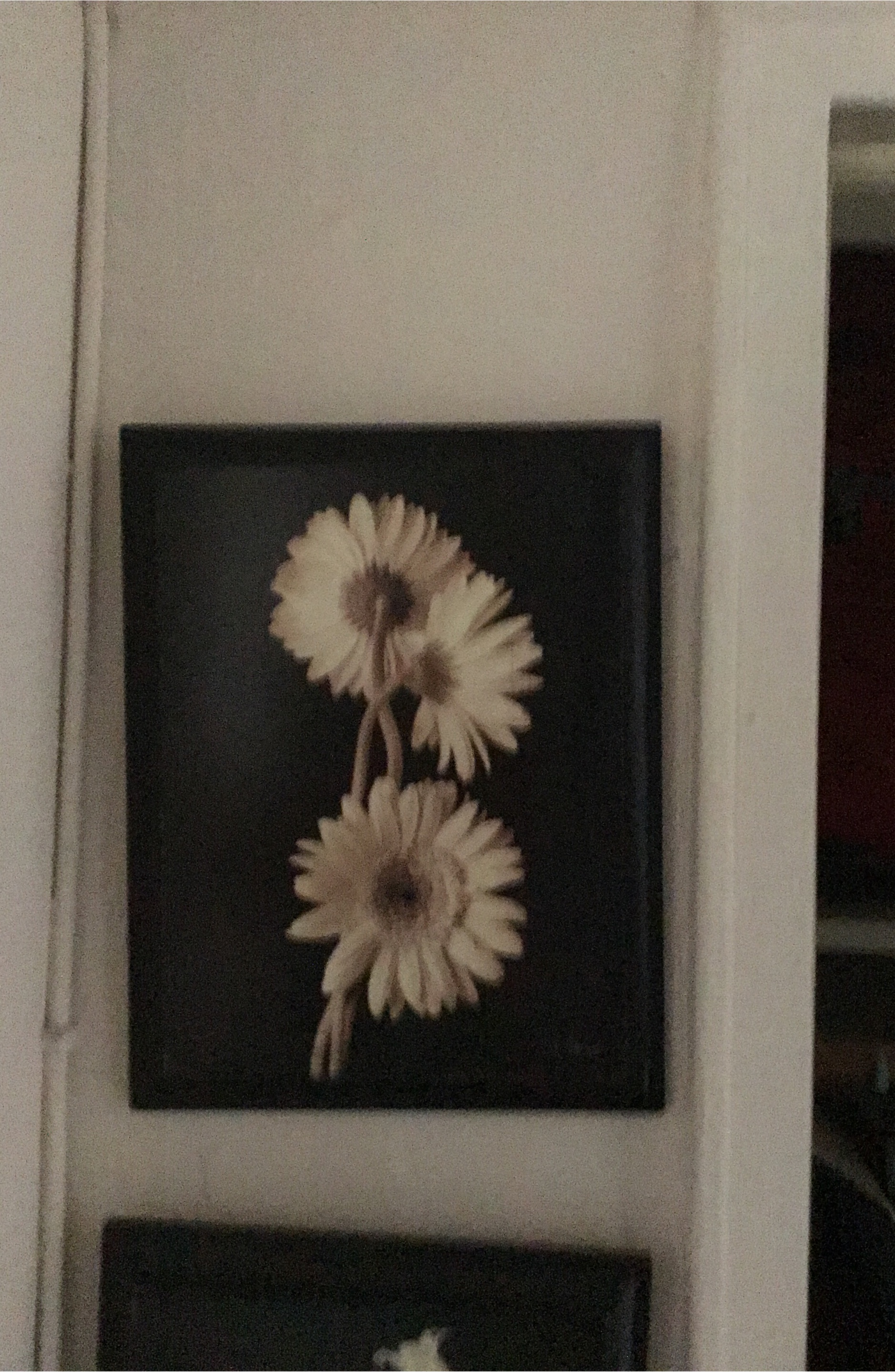 Framed Floral Art Print