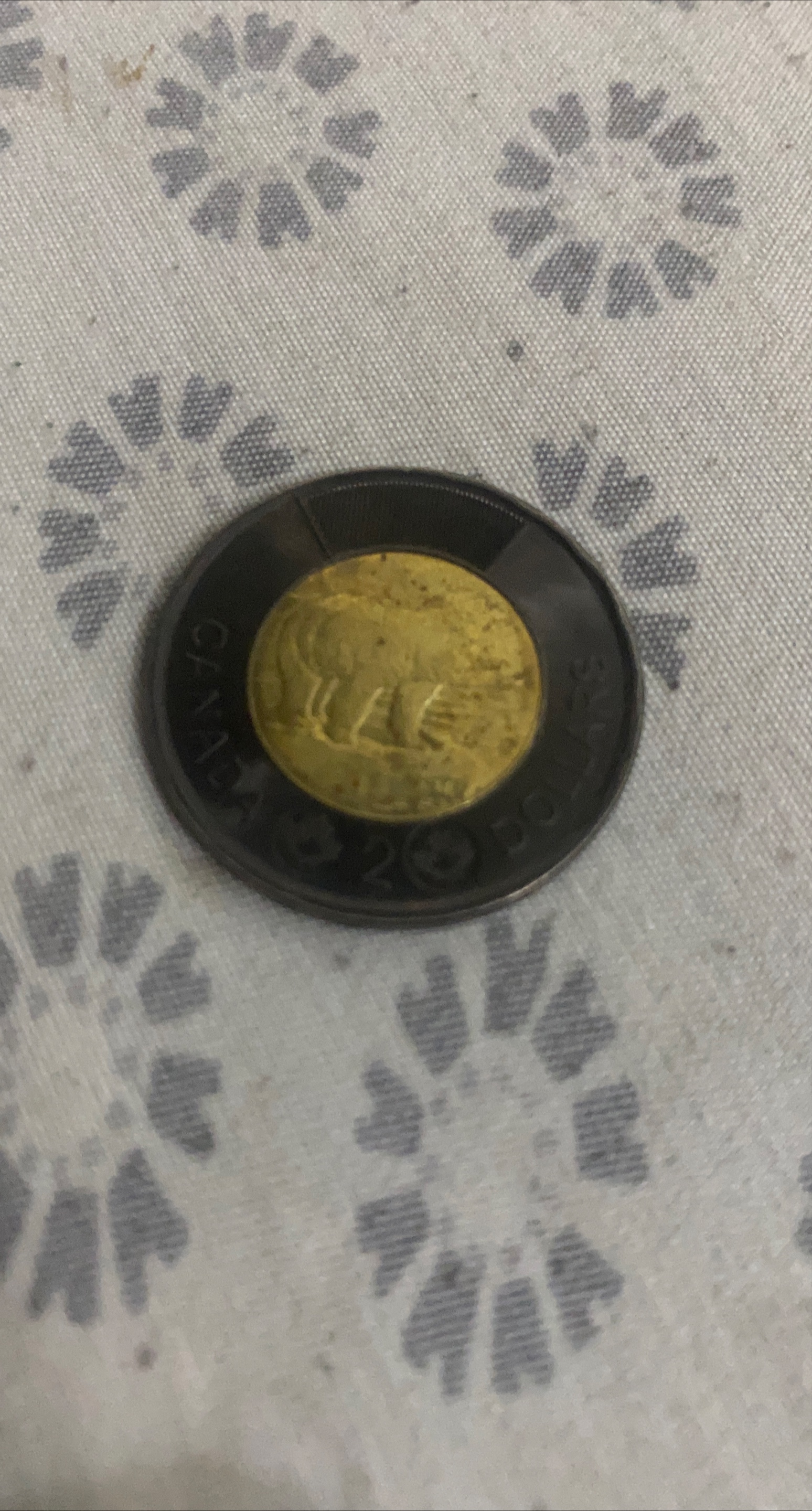 Canadian $2 Toonie Coin thumbnail