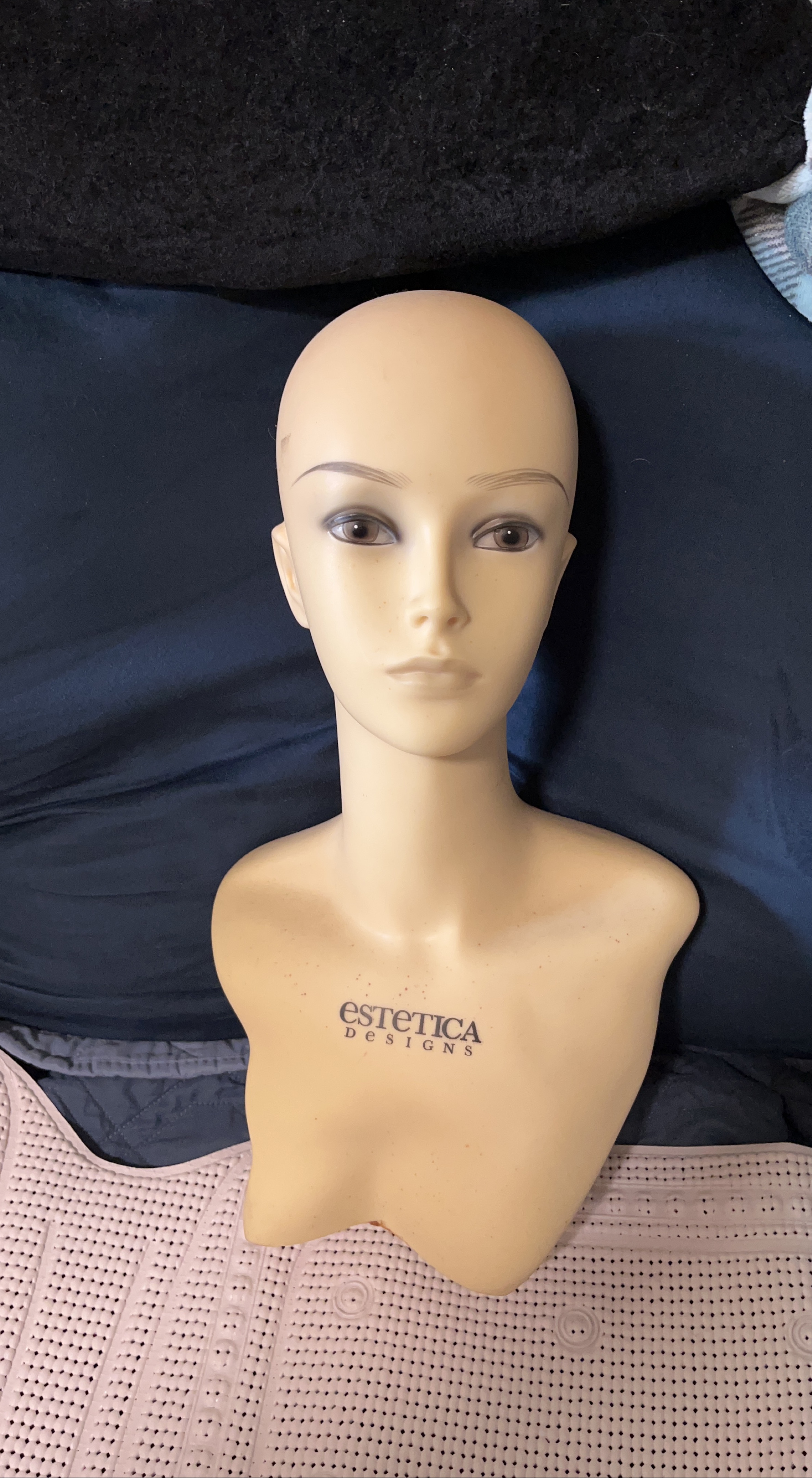 Estetica Designs Mannequin Head