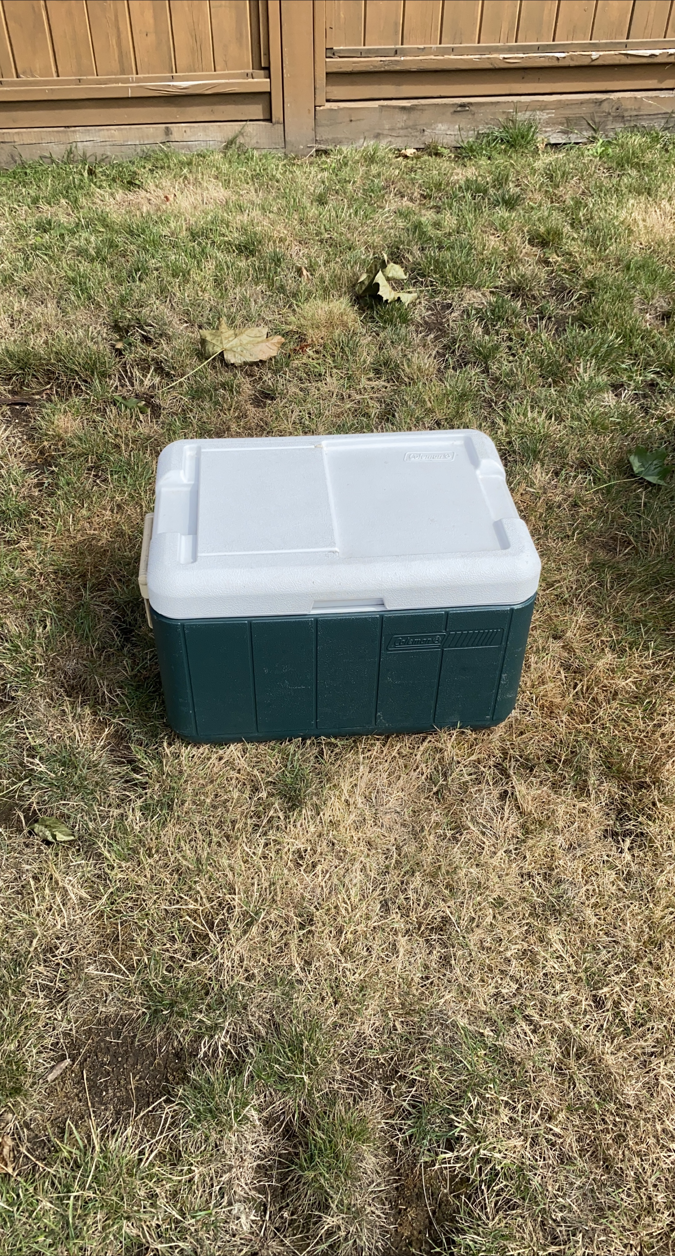 Coleman Cooler - Green & White thumbnail
