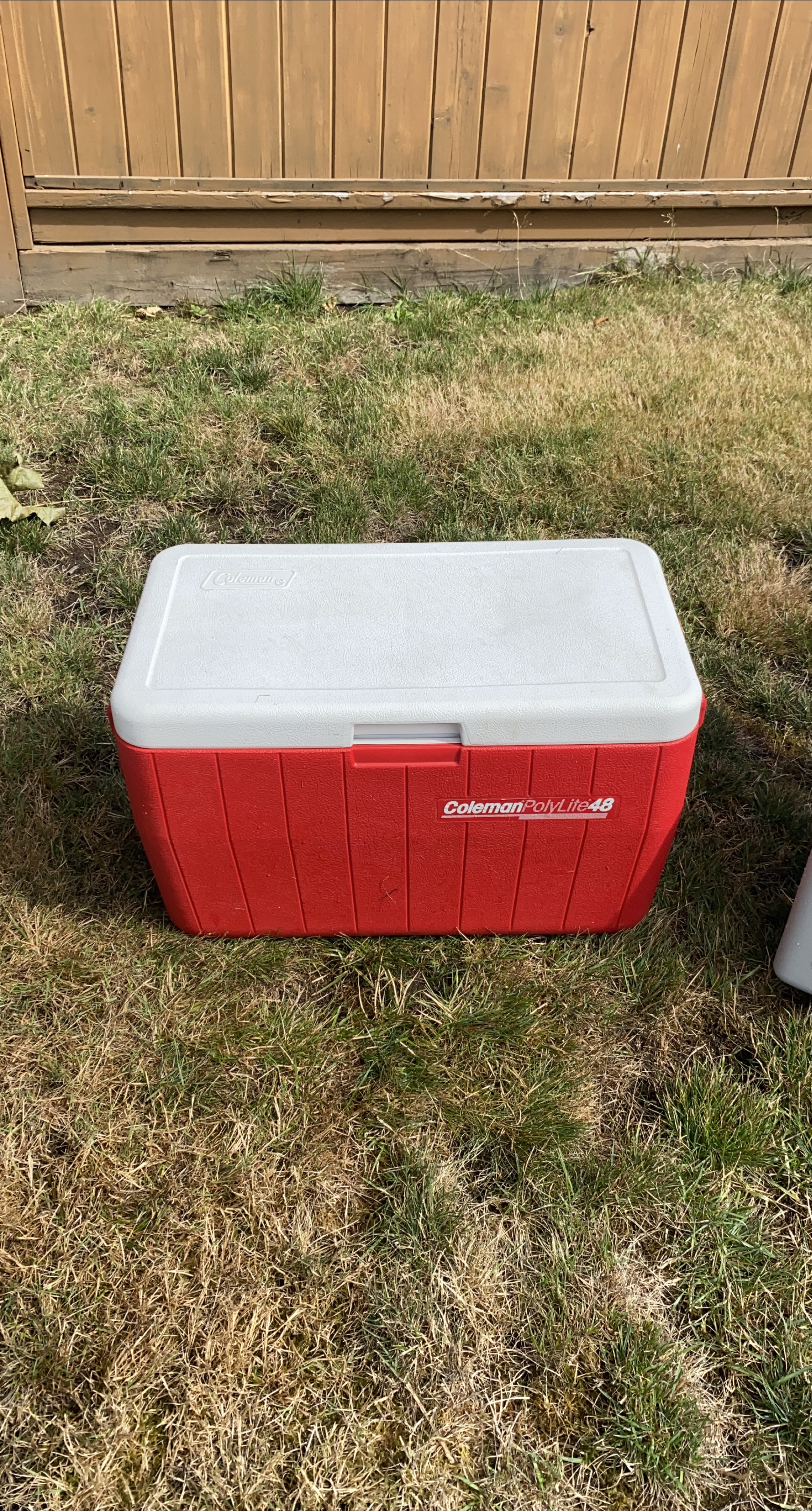 Coleman PolyLite 48 Cooler