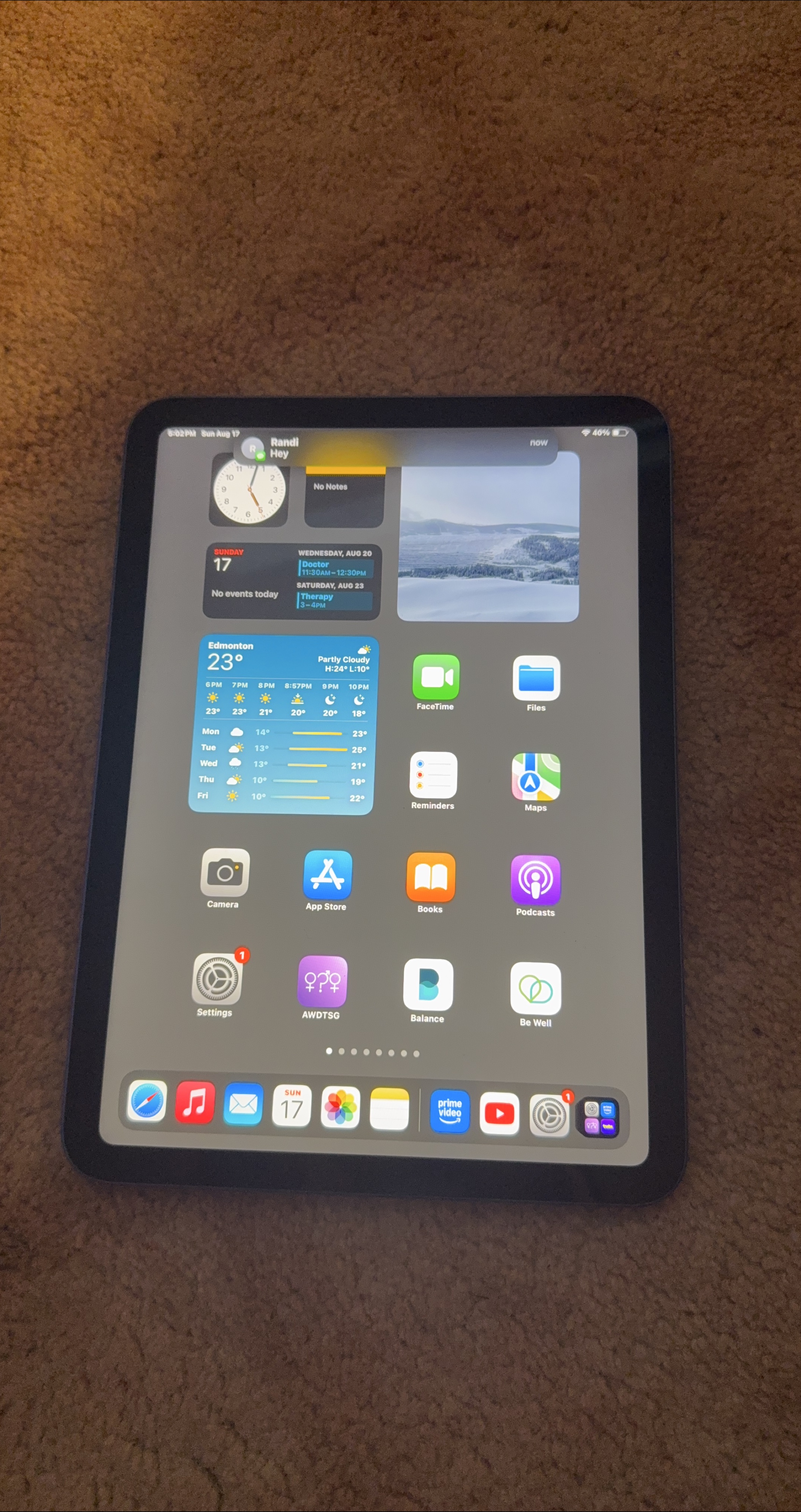 Apple iPad 10th Generation - Blue