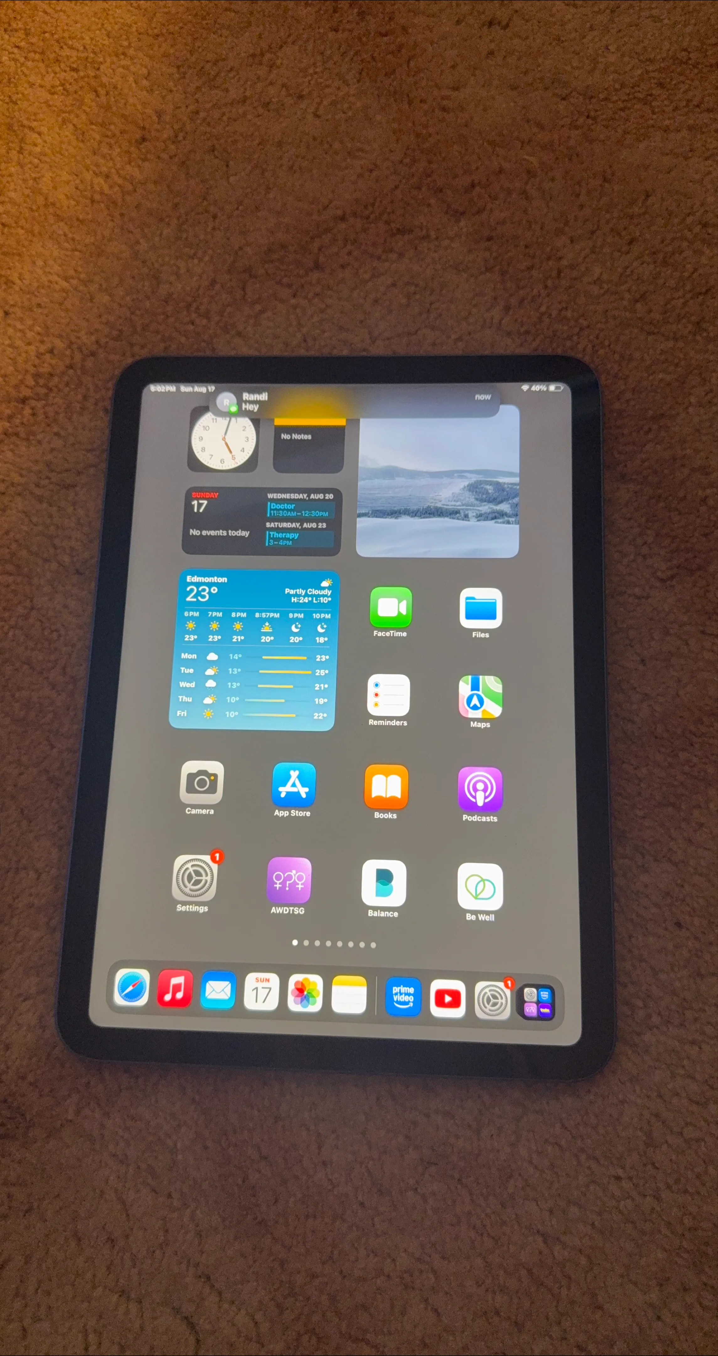 Apple iPad 10th Generation - Blue