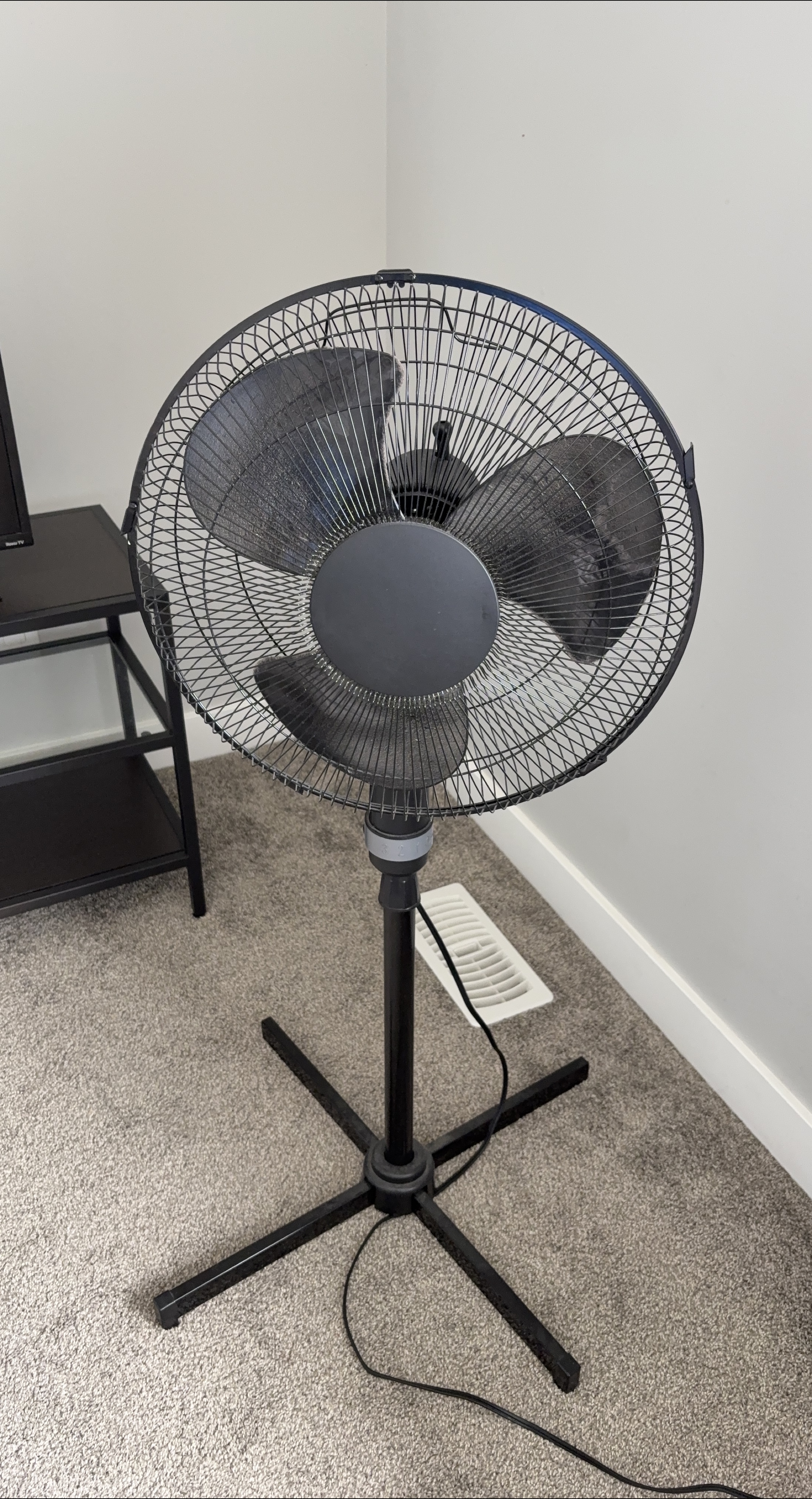 Black Standing Fan