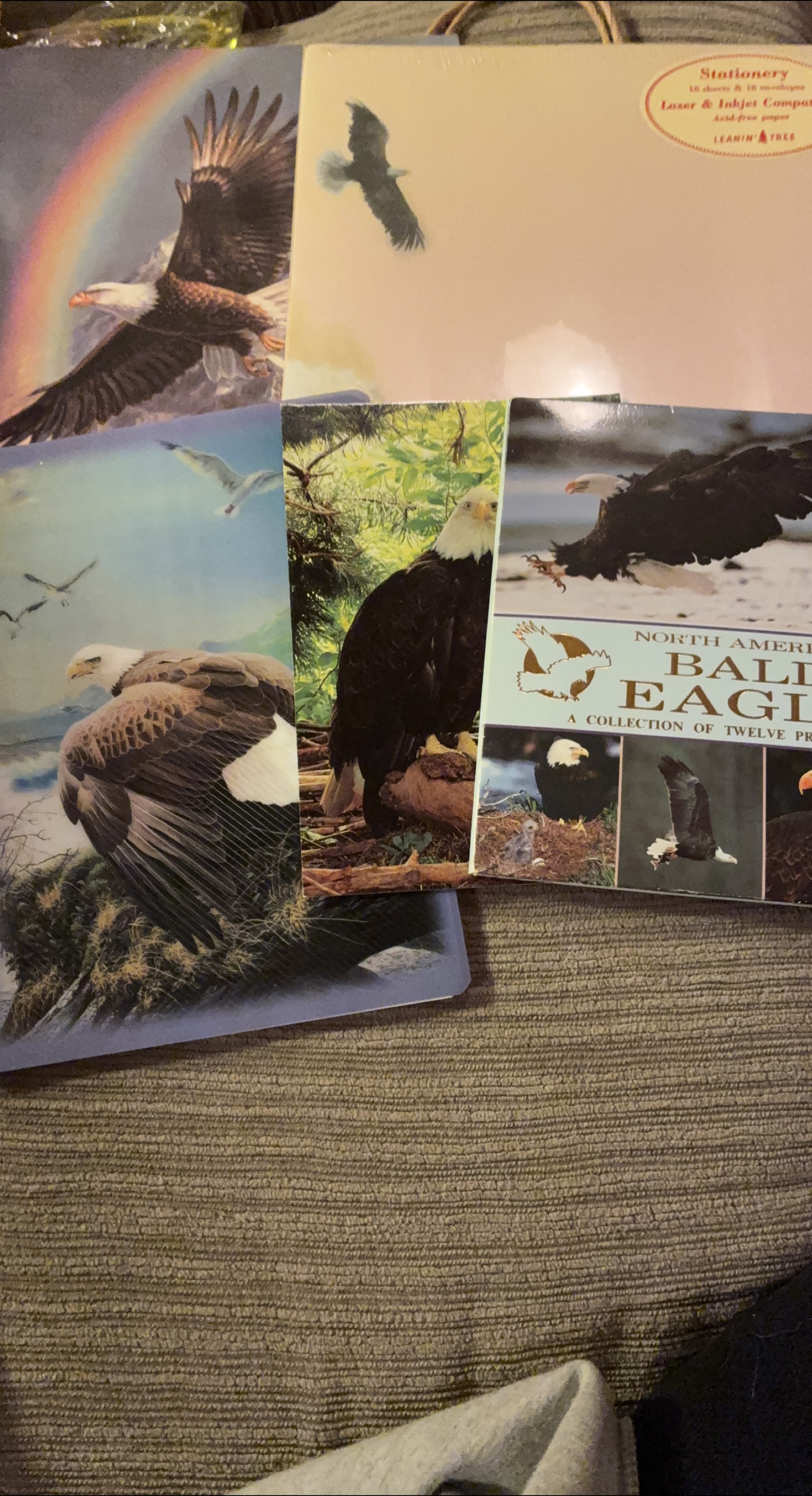 Bald Eagles Stationery Set thumbnail