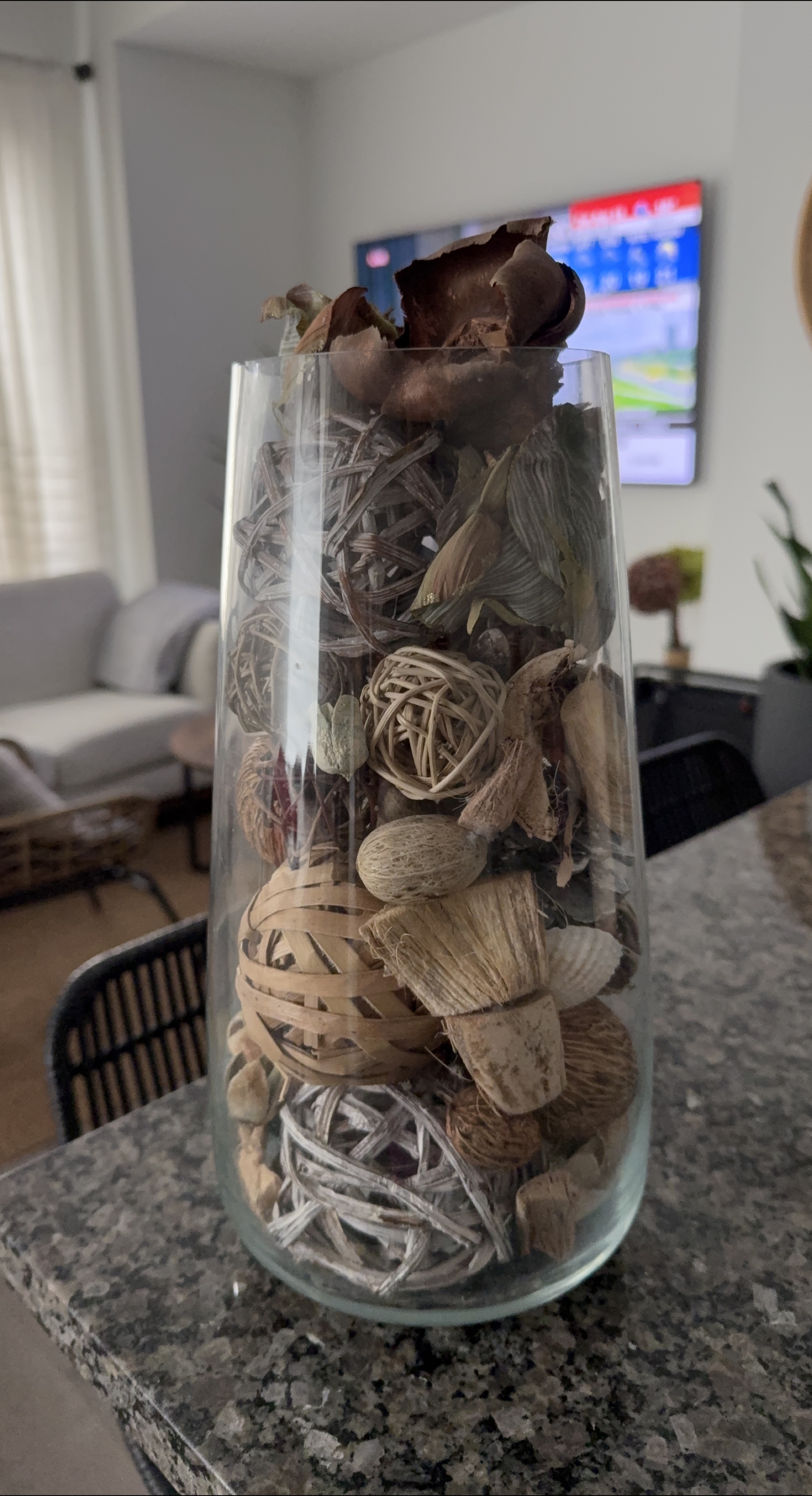 Decorative Vase with Natural Fillers thumbnail