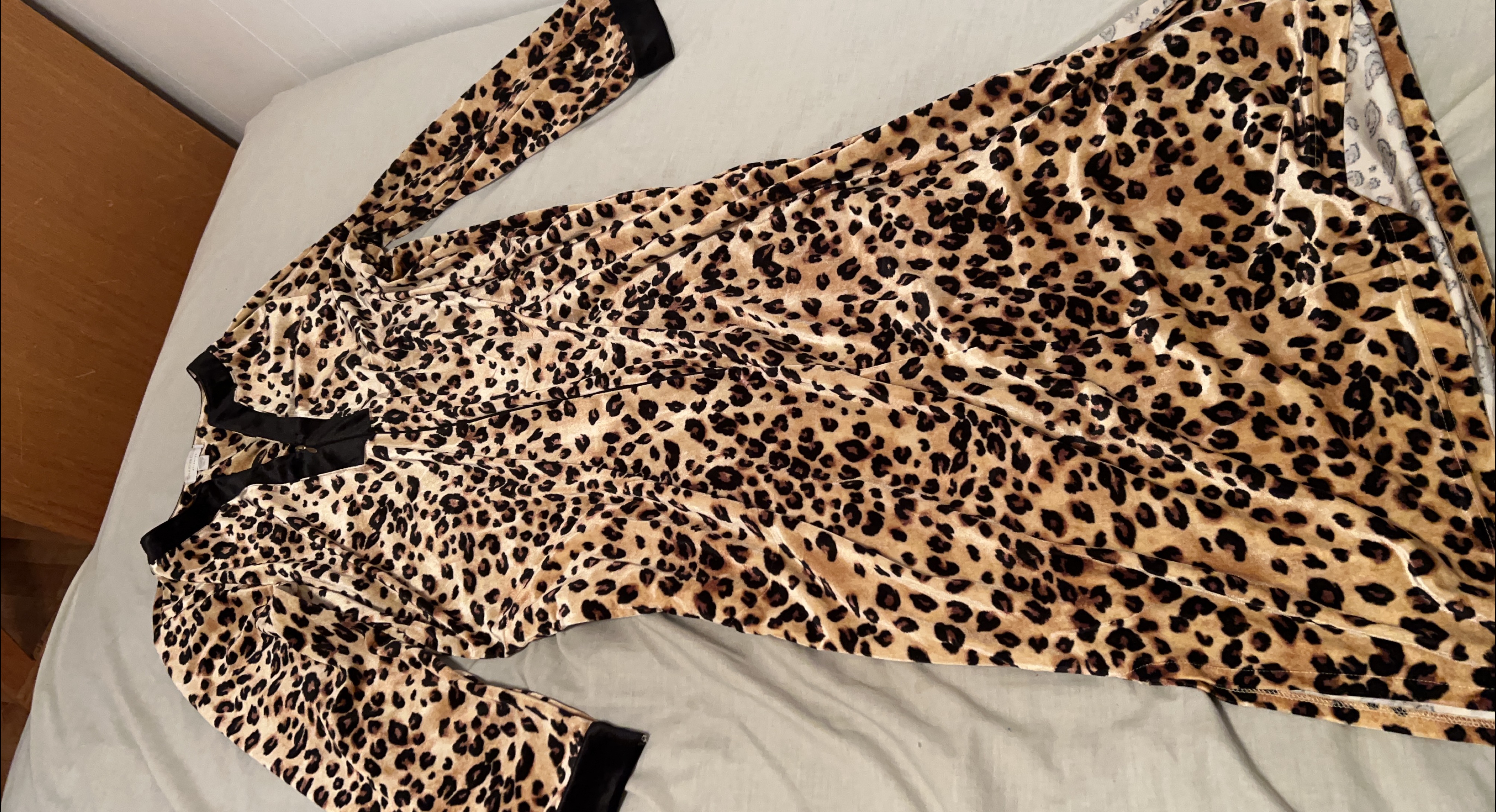 Leopard Print Long Sleeve Dress thumbnail