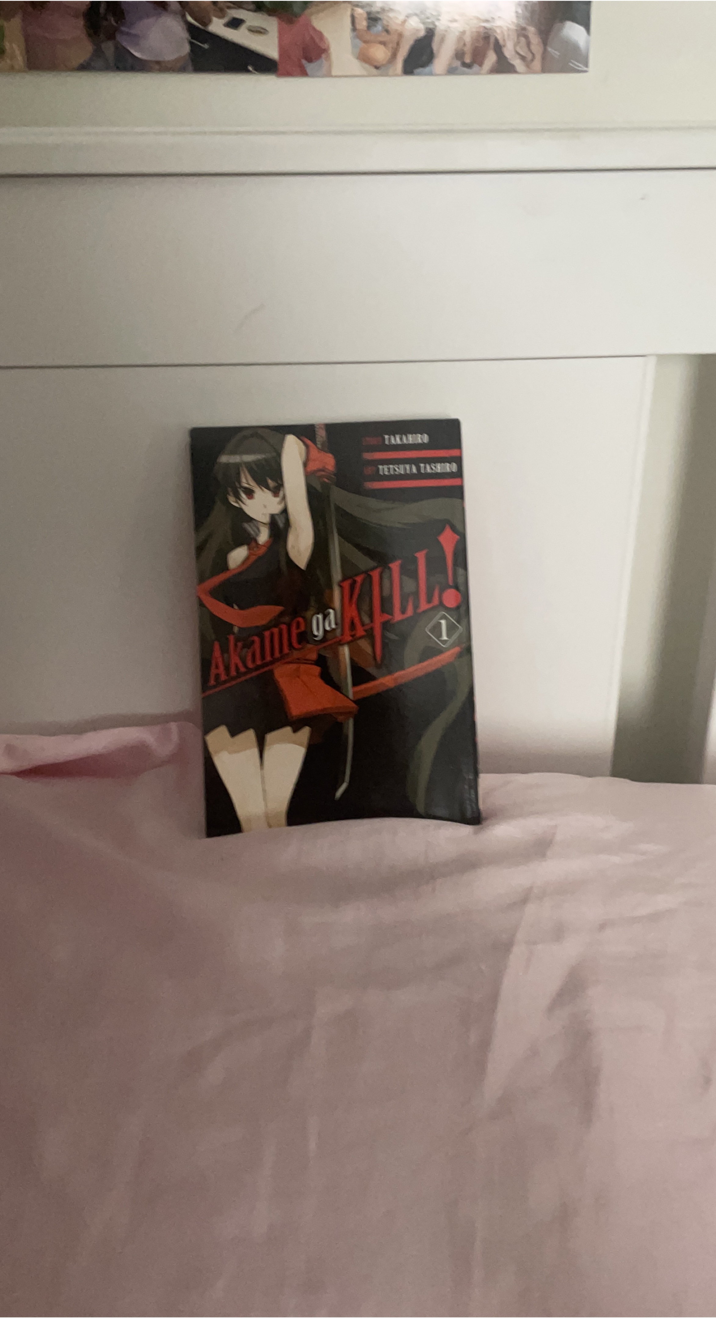 Akame ga Kill! Vol. 1 by Takahiro thumbnail