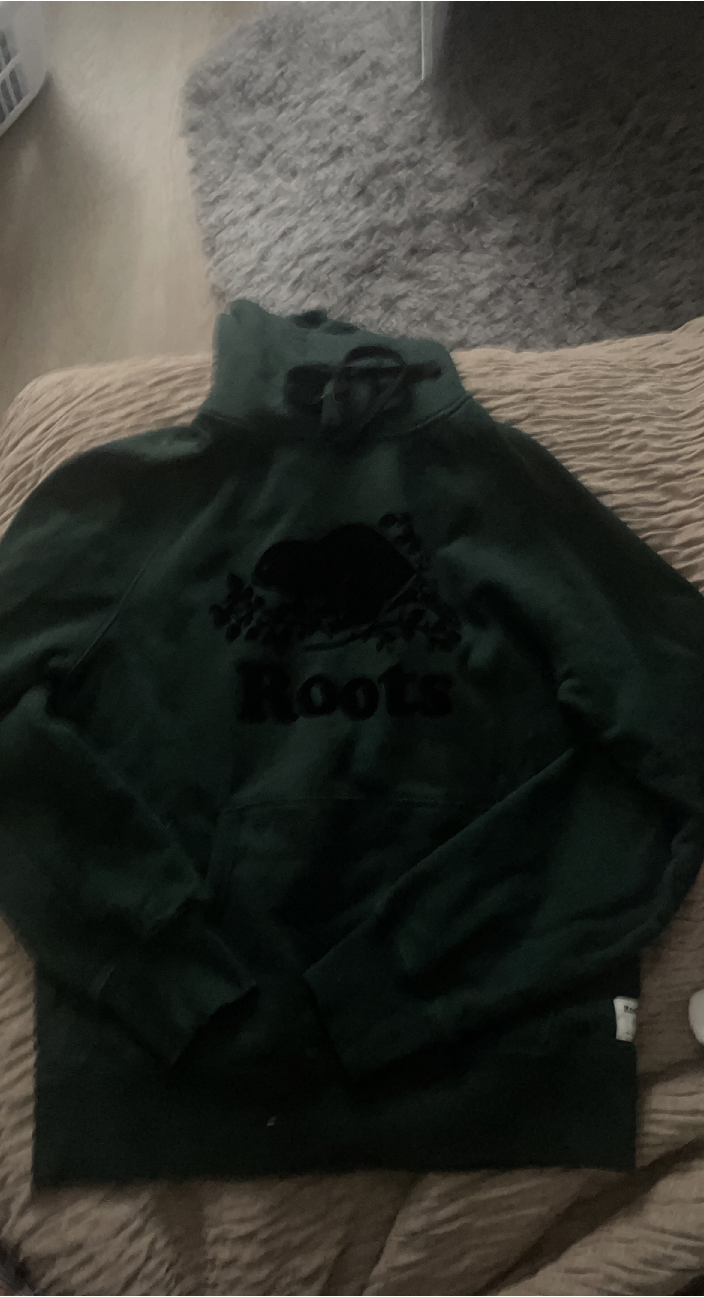 Roots Forest Green Hoodie - Never worn thumbnail